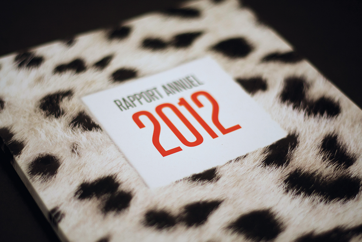 Rapport annuel 2012.