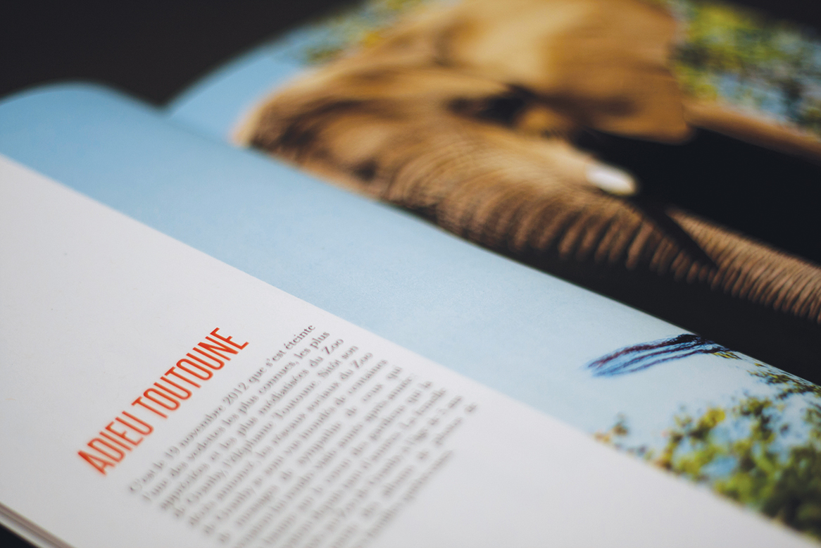 Merlicom_Book2014187.jpg
