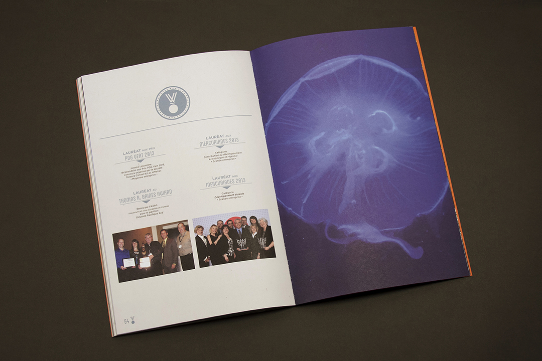 Merlicom_Book2014009.jpg