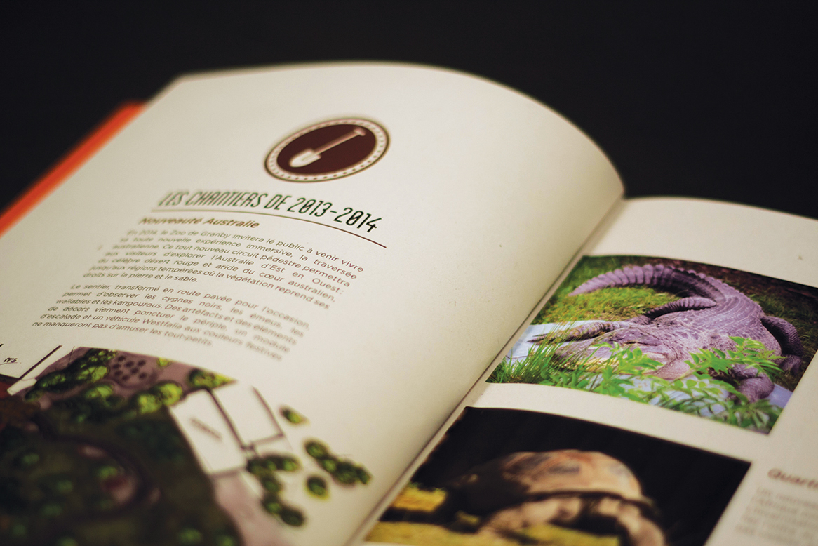 Merlicom_Book2014199.jpg