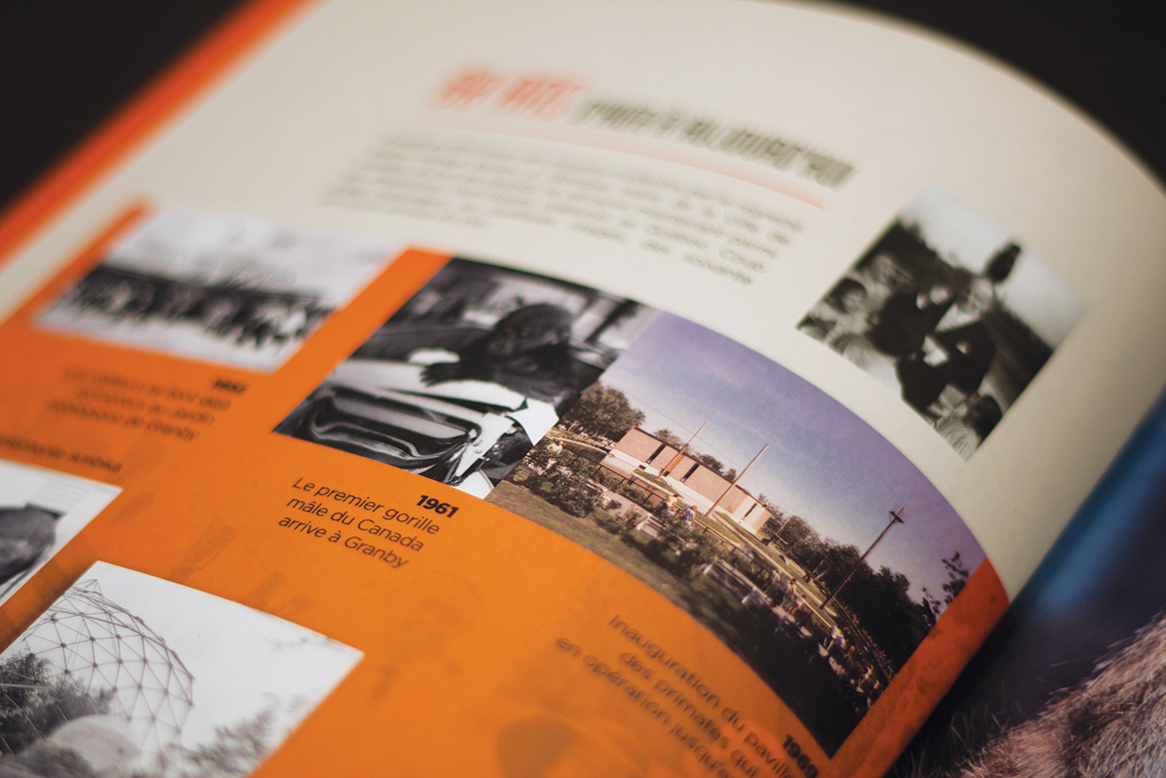 Merlicom_Book2014252.jpg