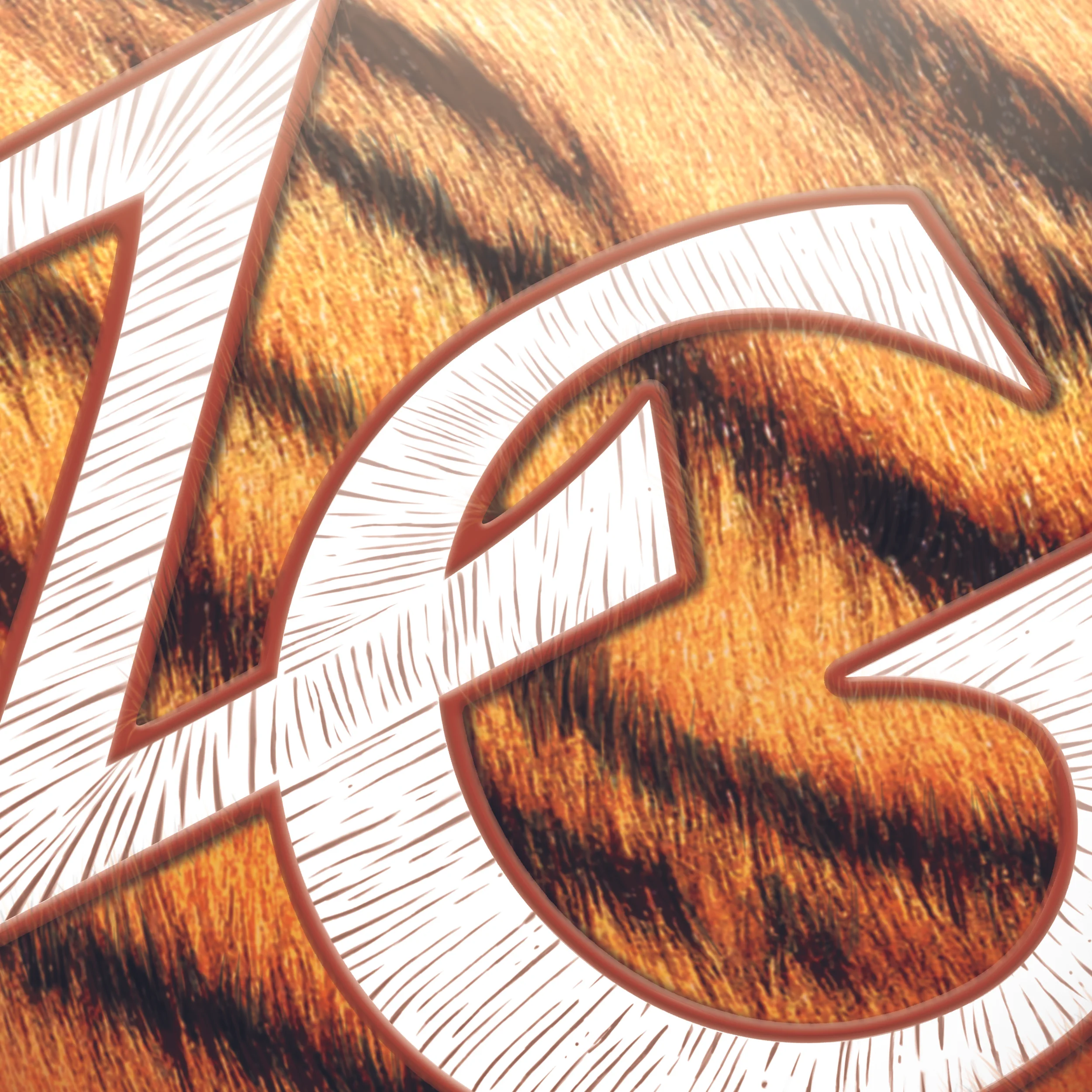 Branding_ZG_Closeup1.jpg