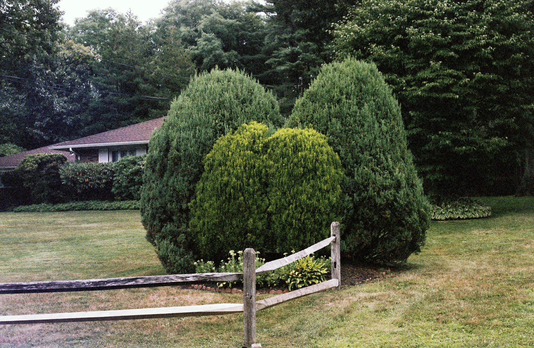 79176R2-R01-006e.jpg