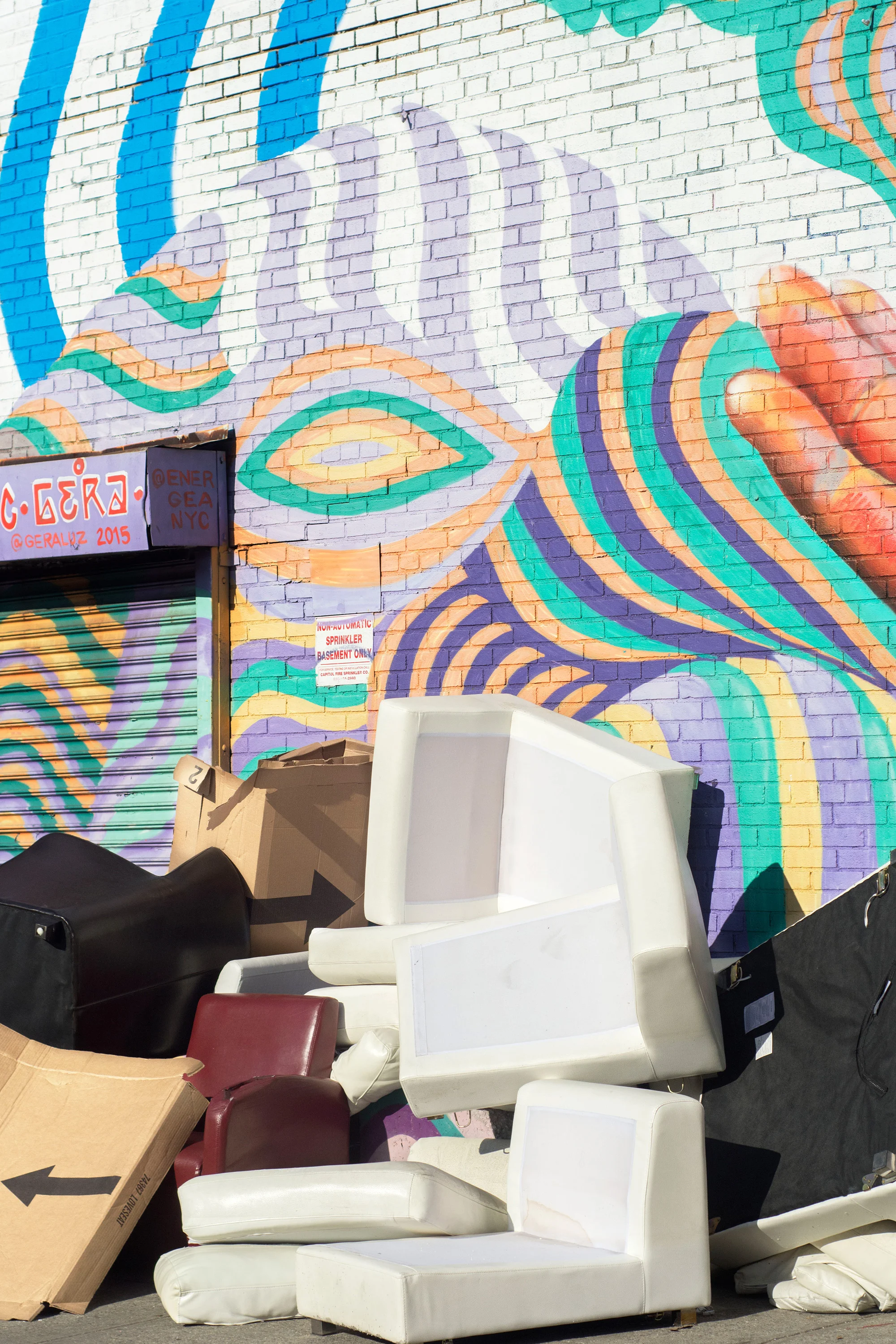 Garbage-Day-Astoria-Queens-Molly-Flores-_DSC3732.jpg