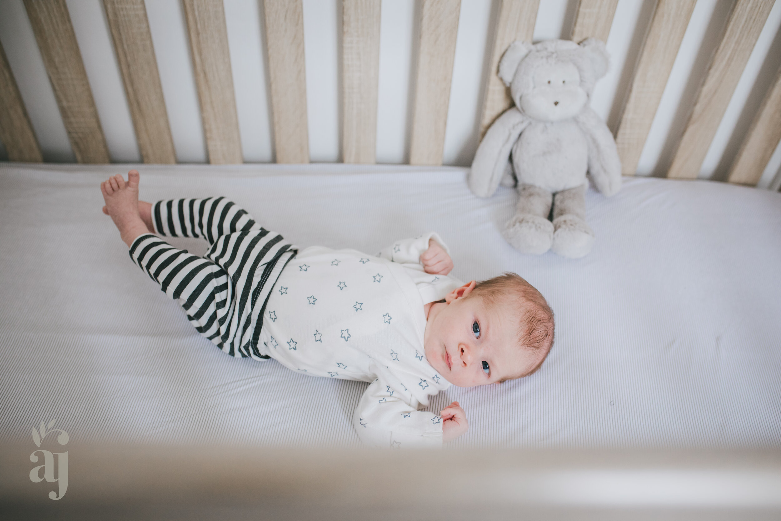 york-newborn-baby-photographer