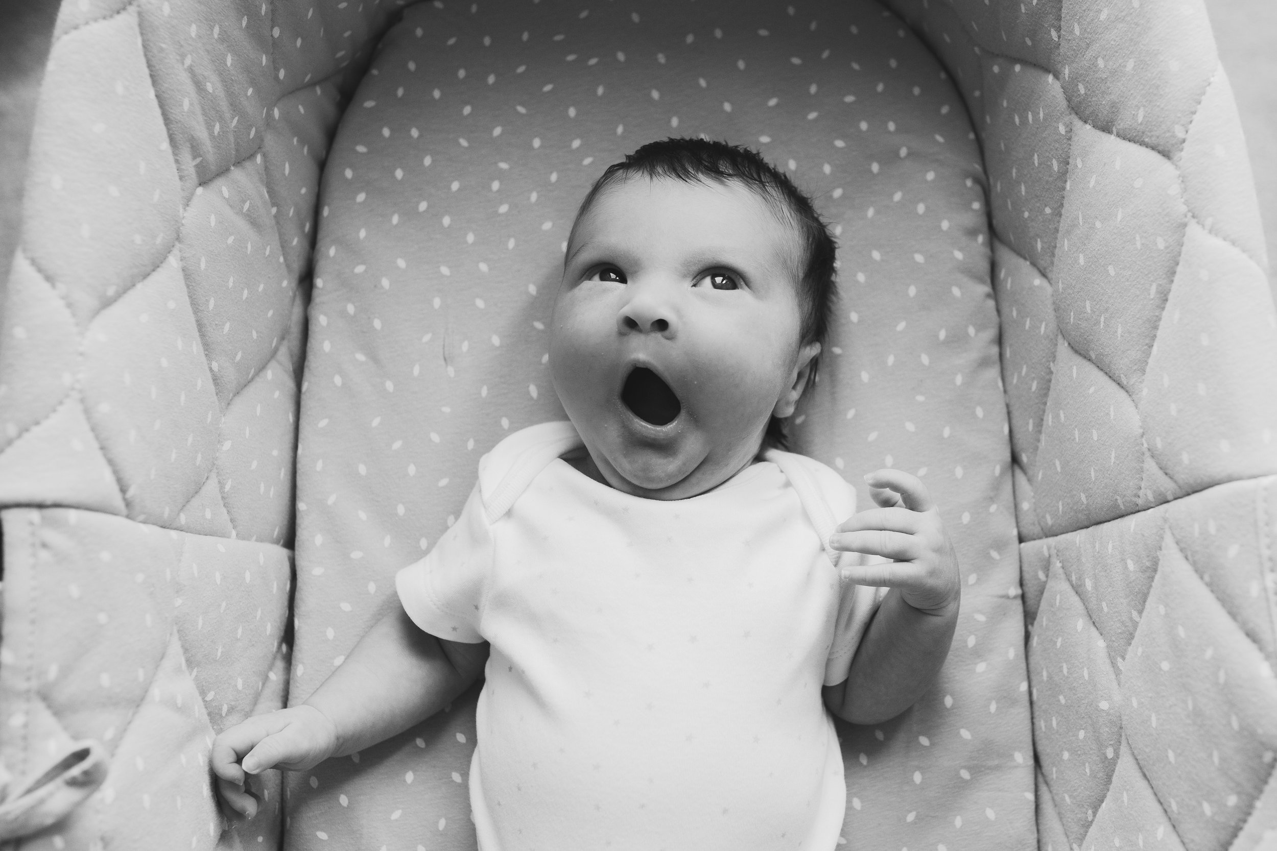 York Leeds Newborn Baby Photographer (Copy)