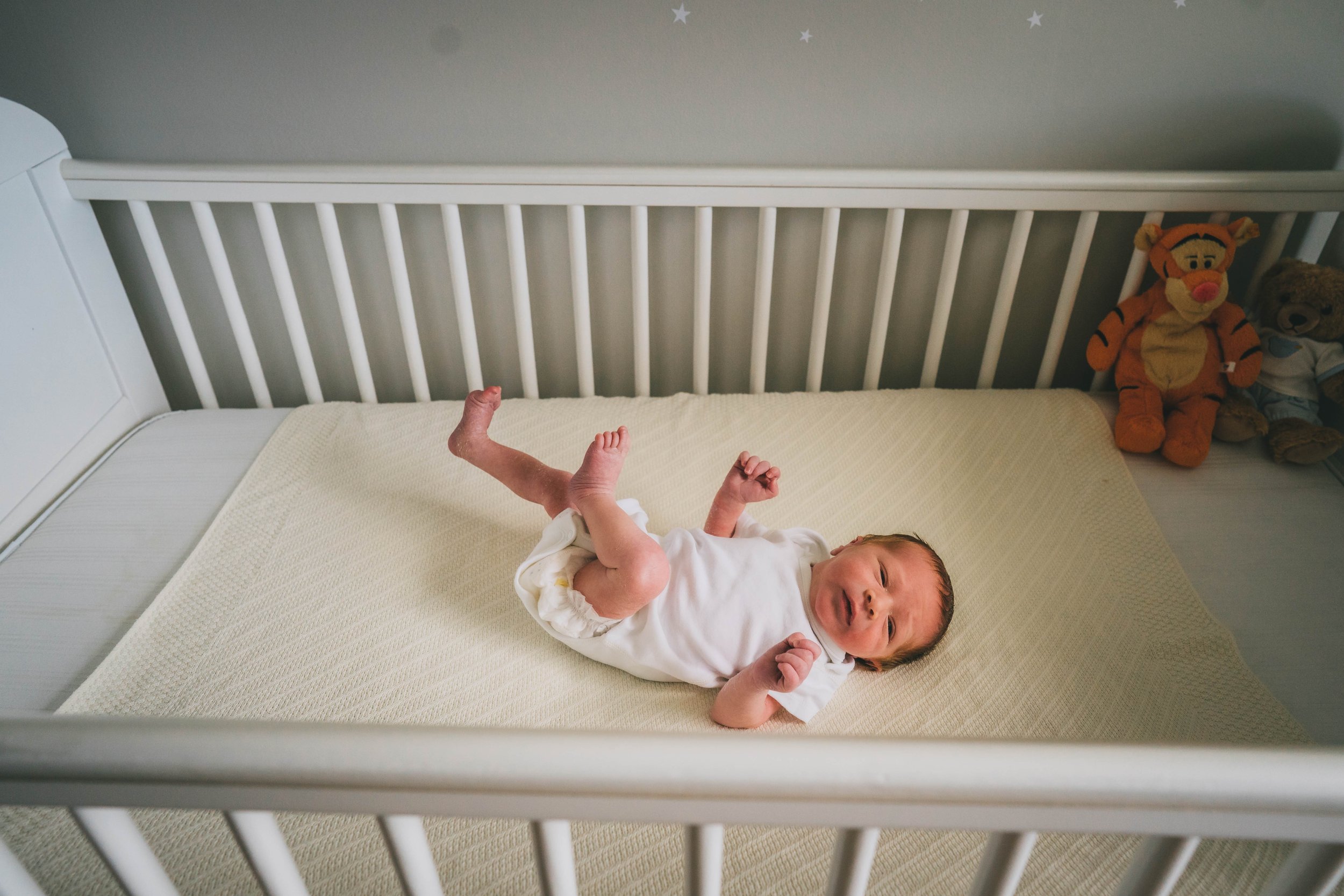 Newborn family photographer york