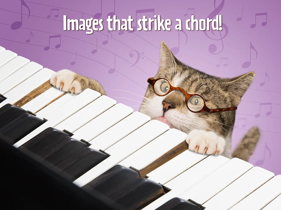 Cat playing Piano website.jpg