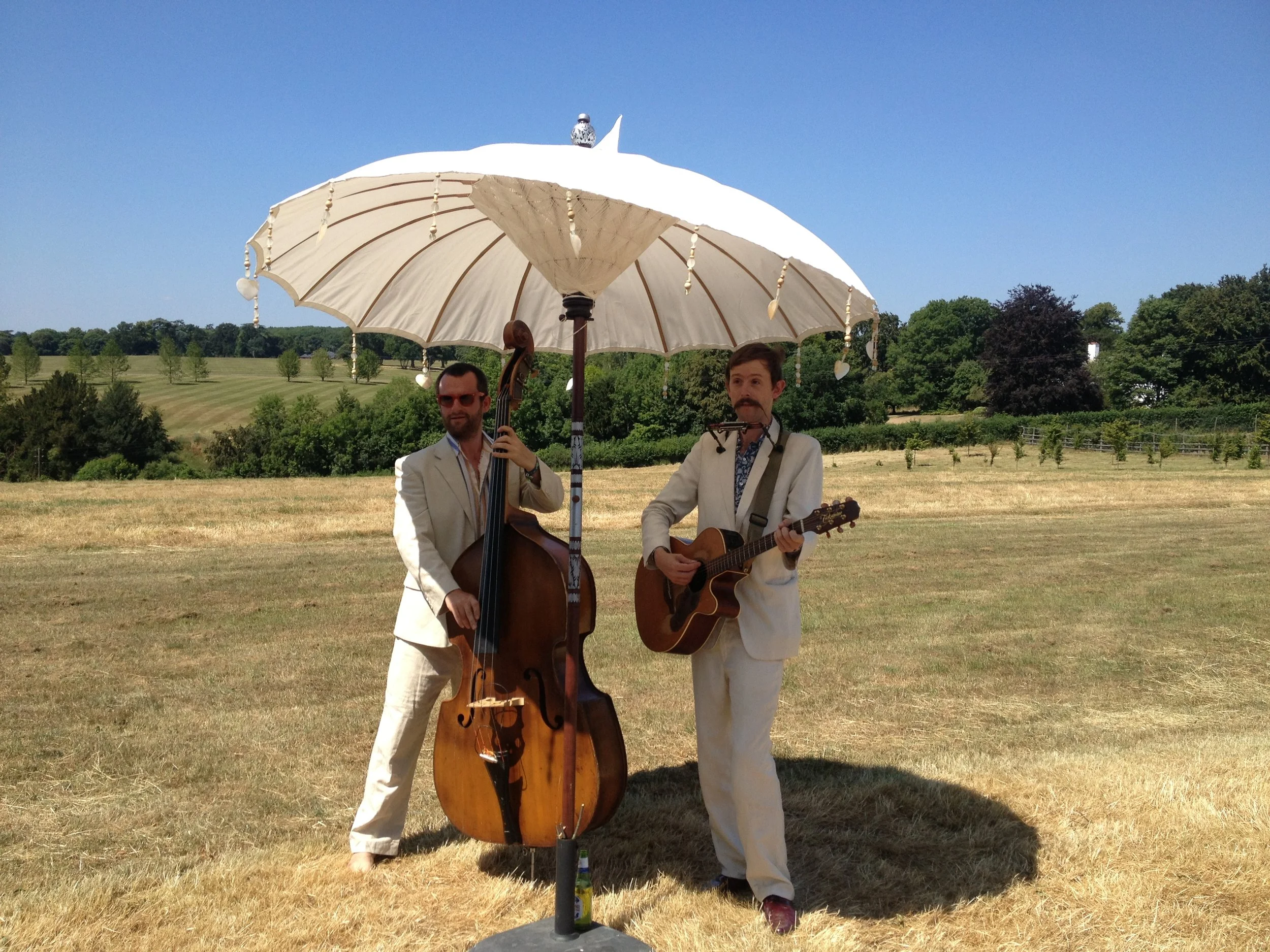 Cash cows on the Raj Large.JPG