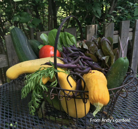A Feast for the Senses- Culinary Trends with Chef Andy Snow