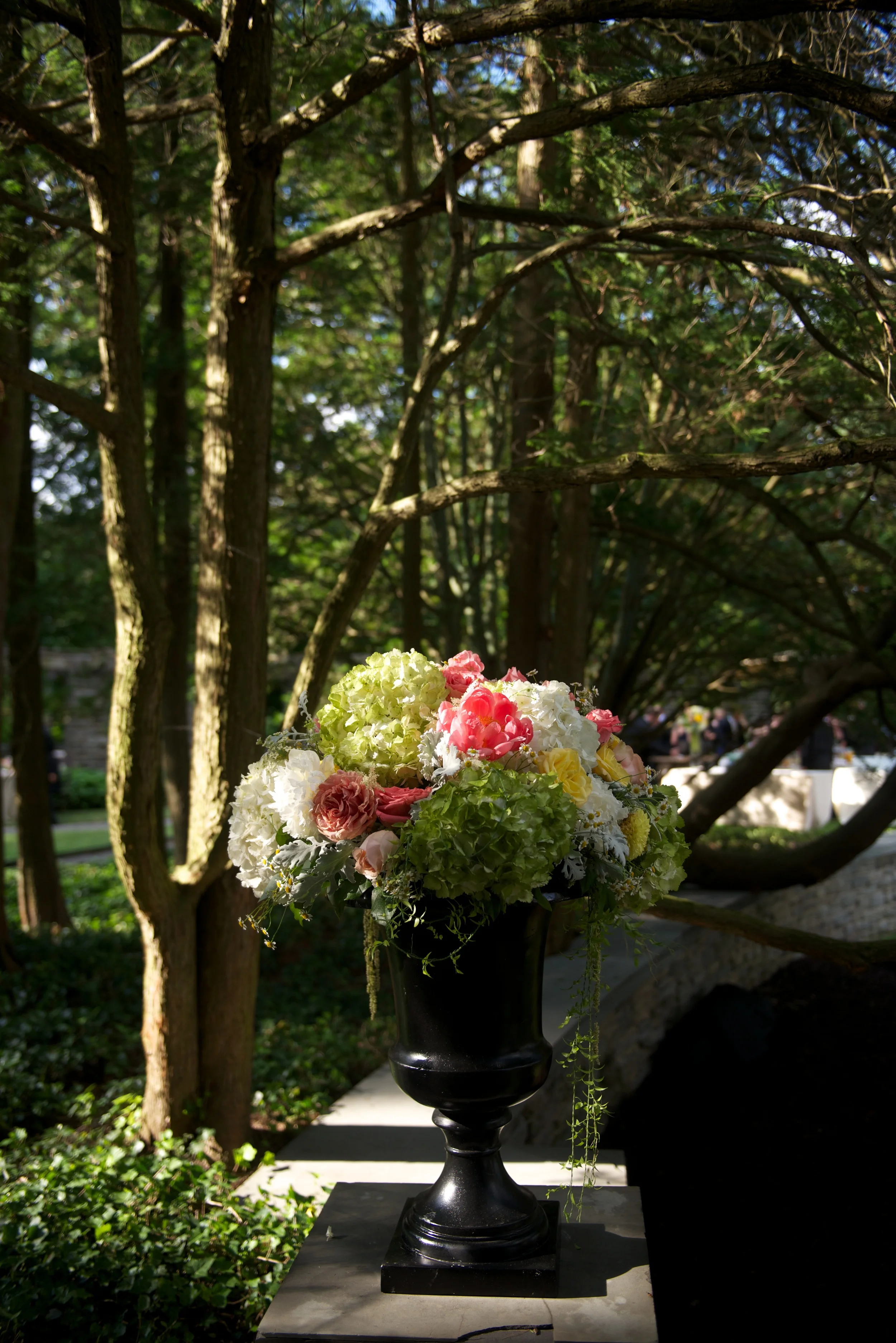 DSC_2854.jpg