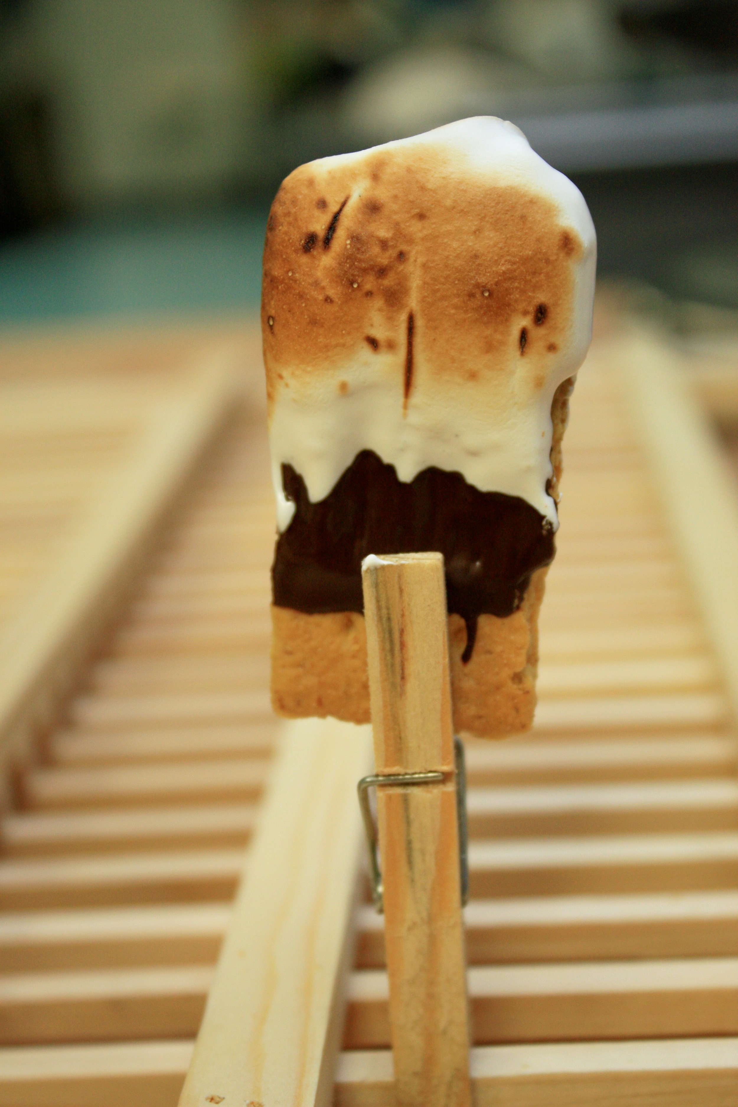 Feast s'mores M.Snow (4).JPG