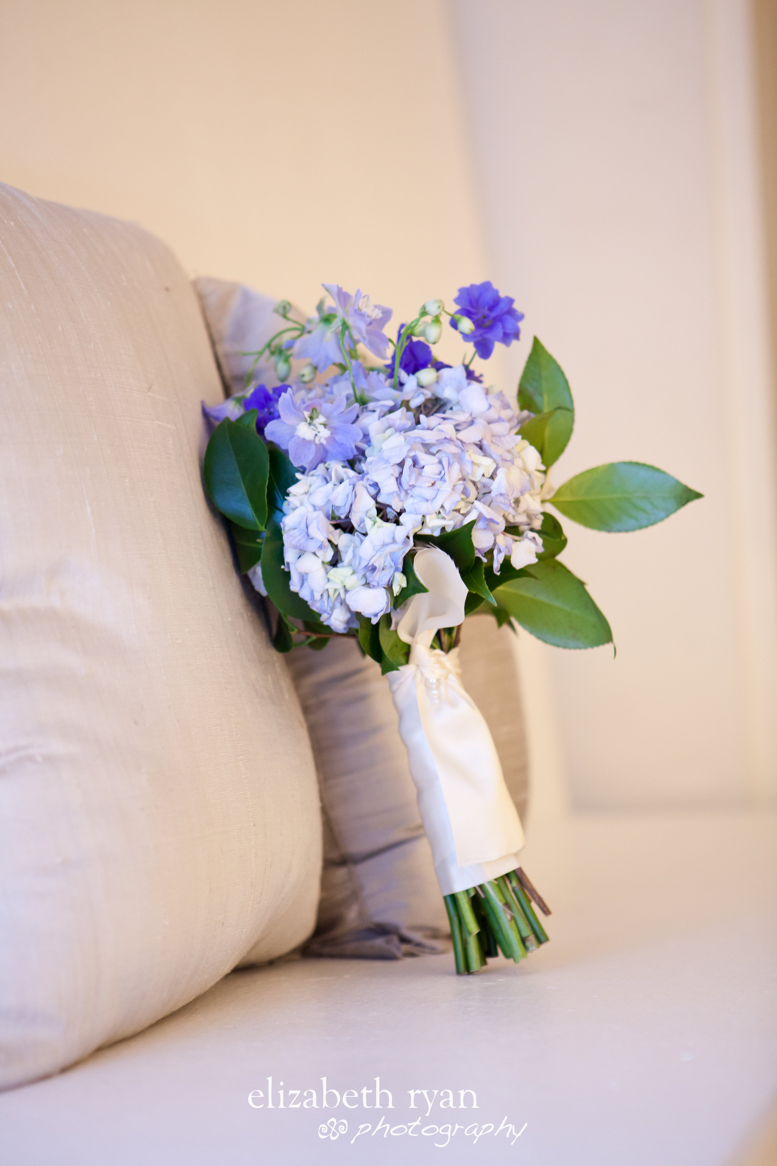 2.19.11_Emily_RJ_Photosby_ElizabethRyanPhotography_11.jpg