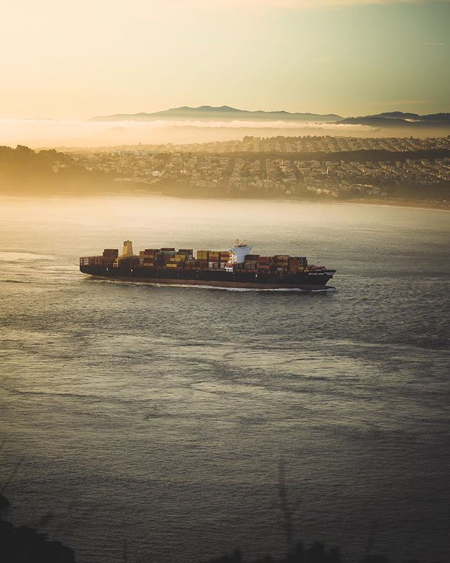☀️ Golden hour on the Bay&hellip;
&bull;
I won&rsquo;t forget those couple hours on the foothills of Sausalito, staring across at San Francisco through a golden haze. It&rsquo;s one of those moments during which you pinch yourself; lucky beyond belie