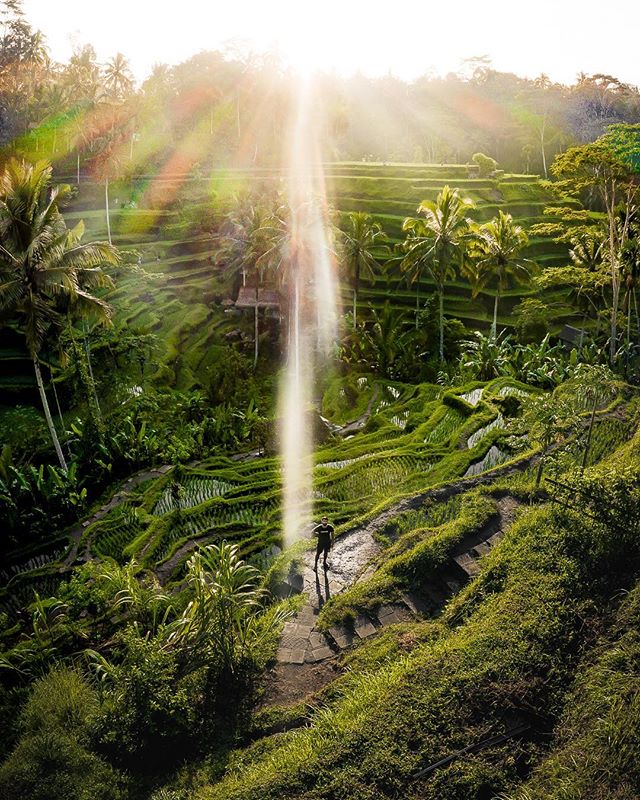 Self-Portrait: Tegalalang Rice Terraces, 7:23 AM, Bali
&bull;
Thank god for drones! Traveling Bali alone was one incredible experience, and trying to take a photo of myself was real difficult. Either I set up a tripod and hope it doesn&rsquo;t interf