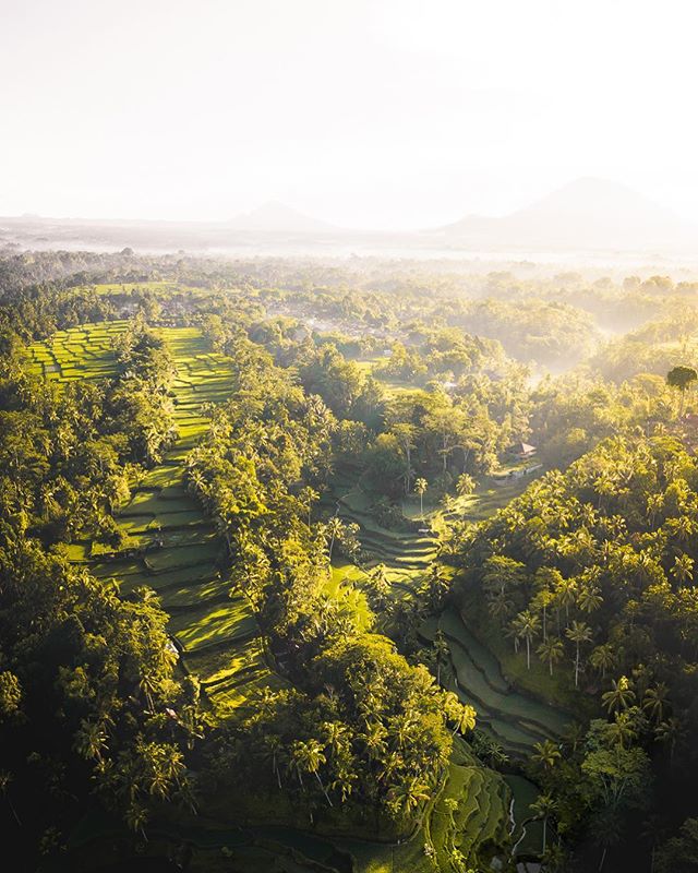 Mornings in Bali are absolutely unforgettable, and sunrises at the famous Tegalalang Rice Terraces are beyond description. Can&rsquo;t wait to go back, but first, need to plan my upcoming trip to Korea 😍🇰🇷