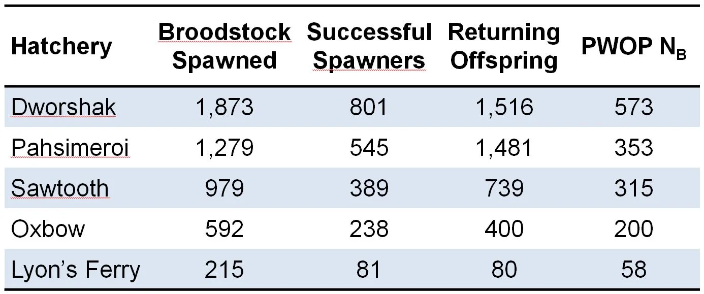 Table 1.&nbsp; Steelhead broodstock spawned at 5 Snake River hatcheries and number of successful spawners and returning offspring used to calculate PWOP NB. 