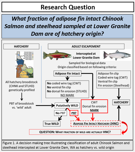 Research Question.PNG