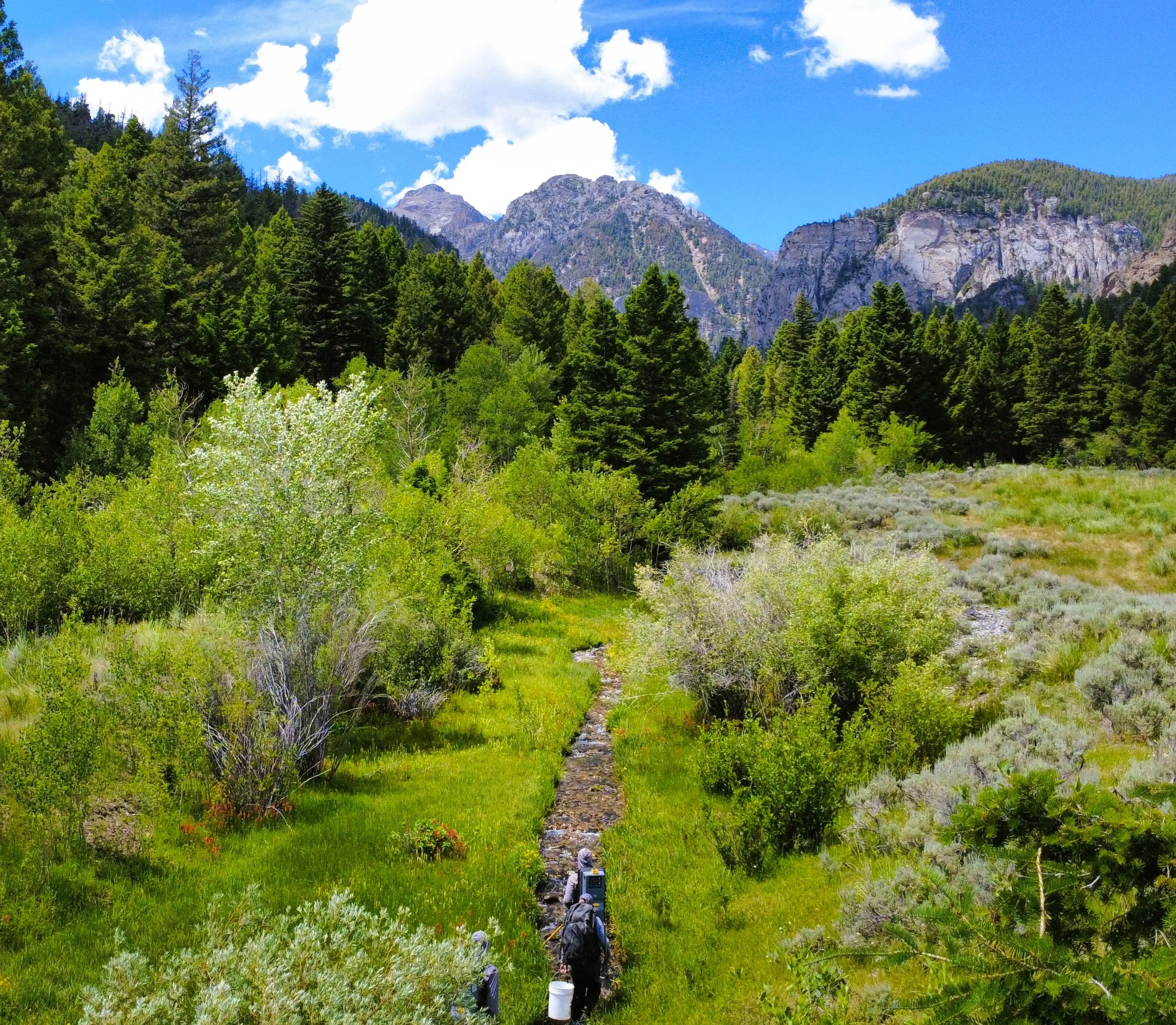 Bear Creek 2026_004.JPG