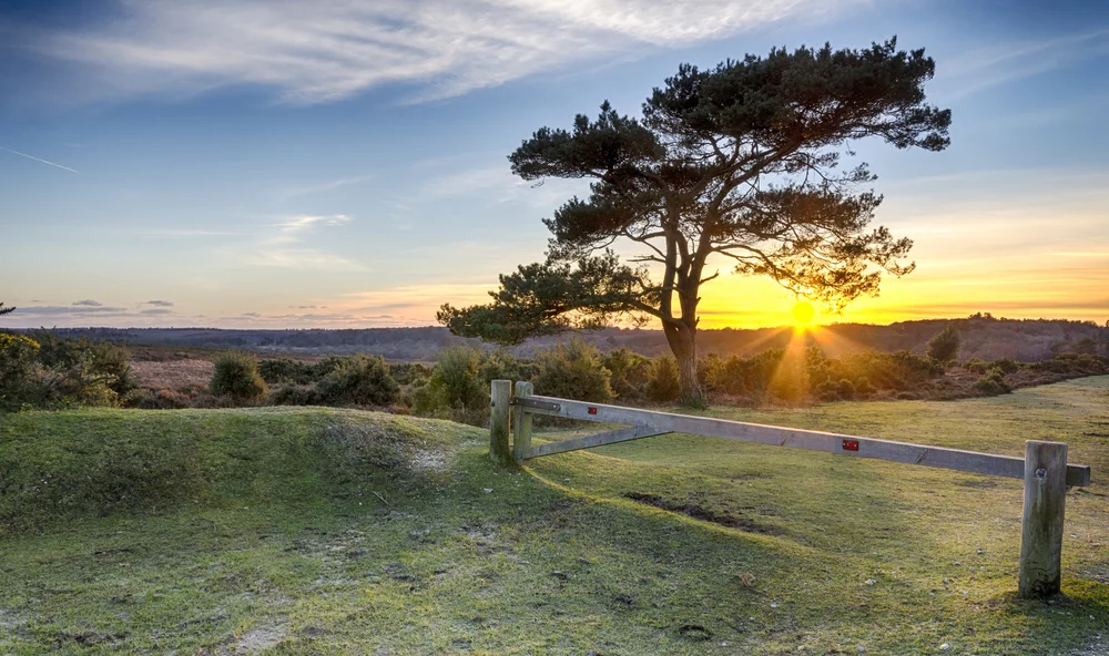 new-forest-hen-party-location.jpg