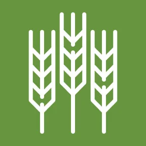 GEI-ICONS_FINAL3.jpg