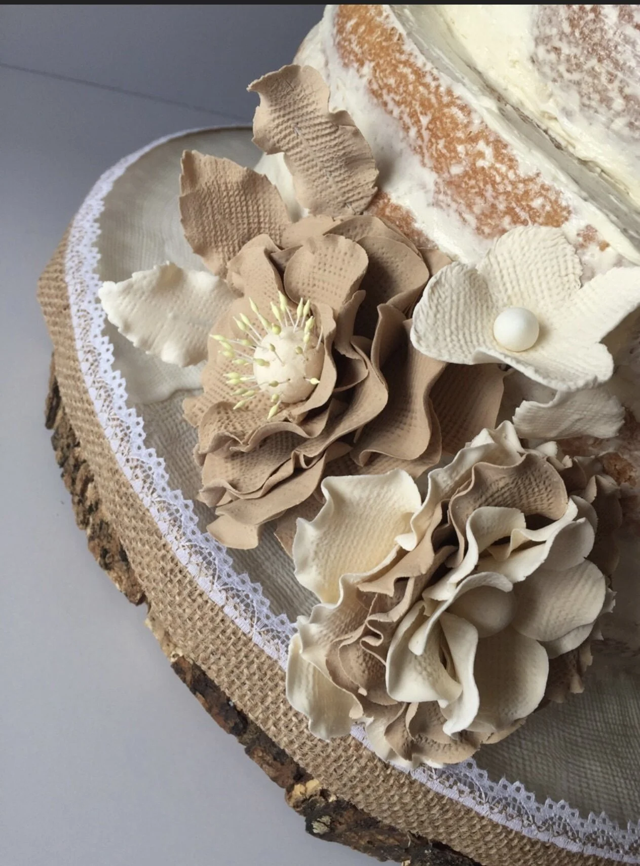 6B79C806-87F3-483E-8FF5-F3757C27E005