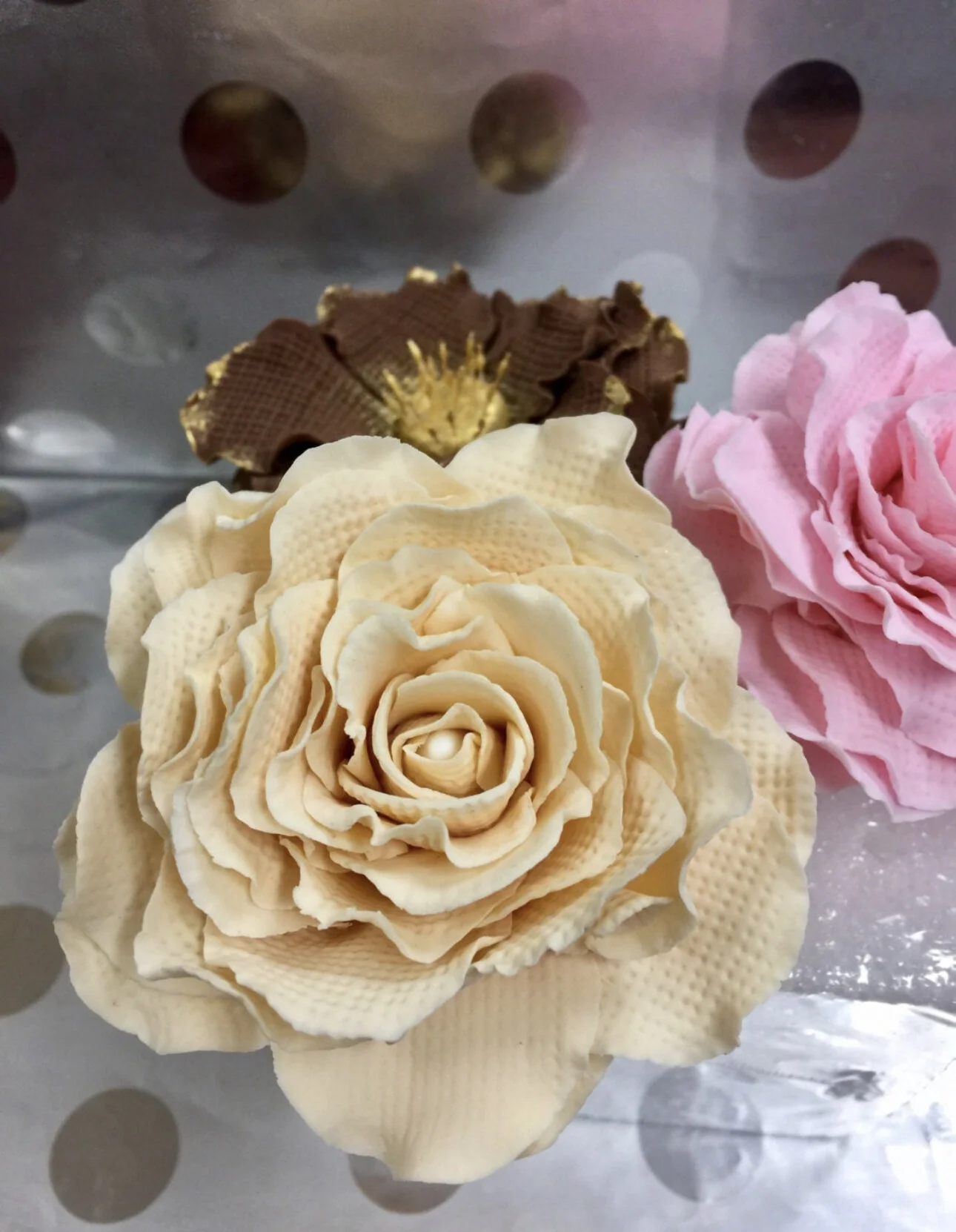 7CE479A1-15A3-48CD-8B80-99EFCA66C8D0