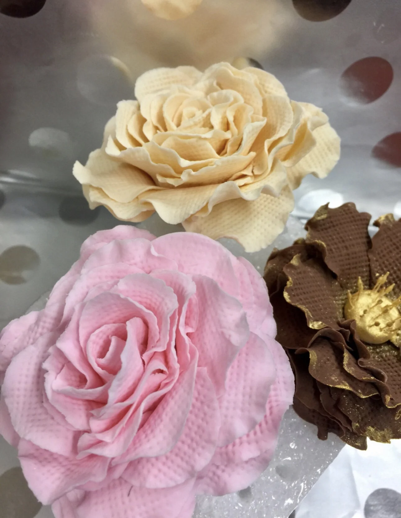 F19487D0-4A03-49D9-96B3-B0D8E0AF8458