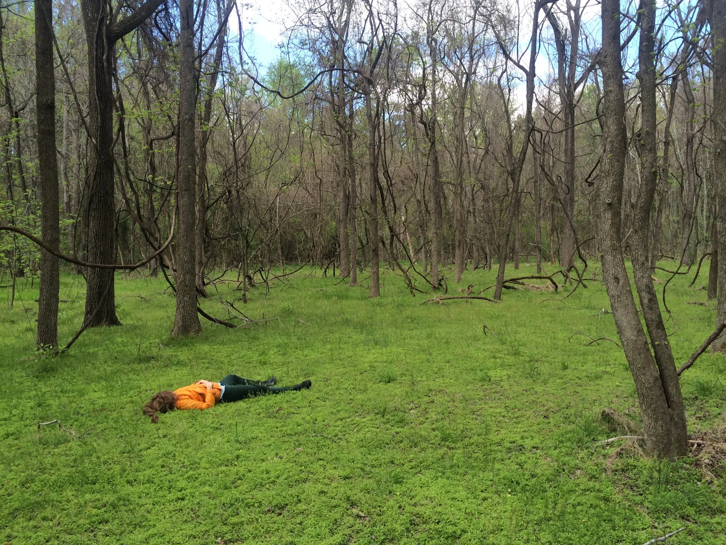 Frivolous Artist, credit Liam O'Neill