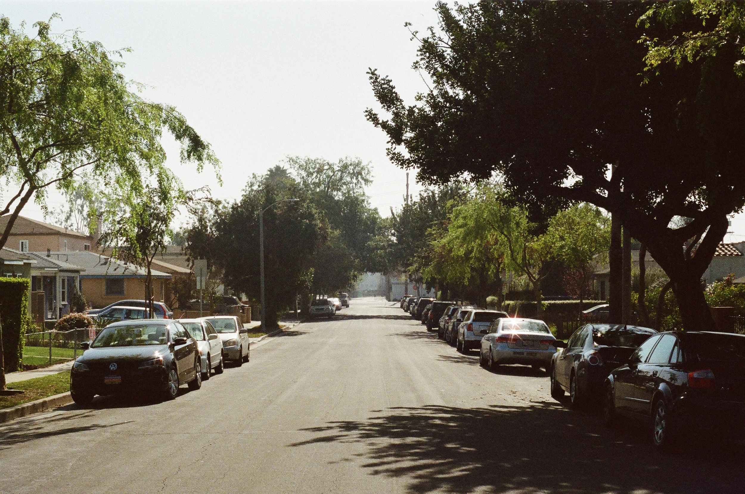 StockSnap_EE7CC8DF17.jpg