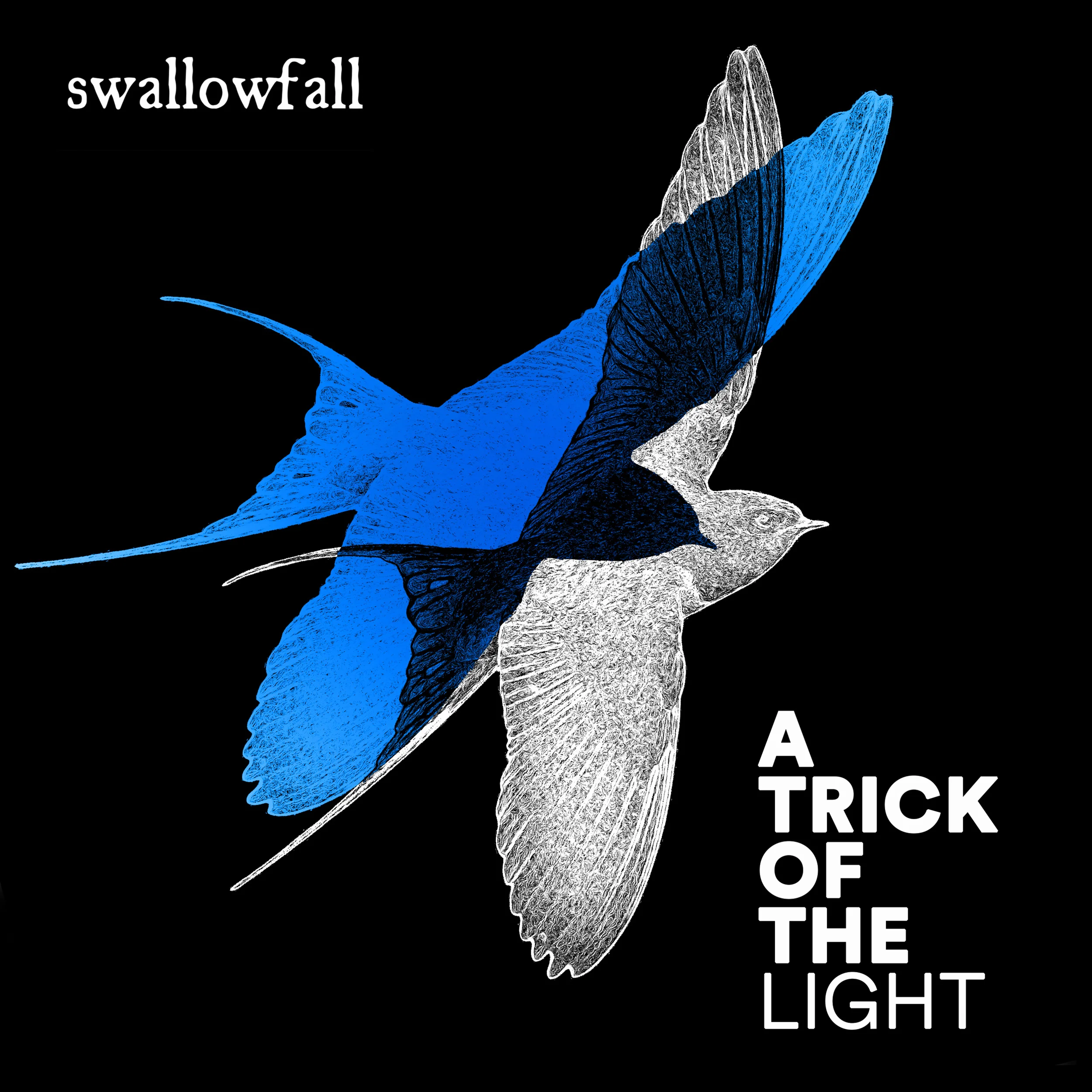 Swallowfall-A-Trick-Of-The-Light-2-.jpg
