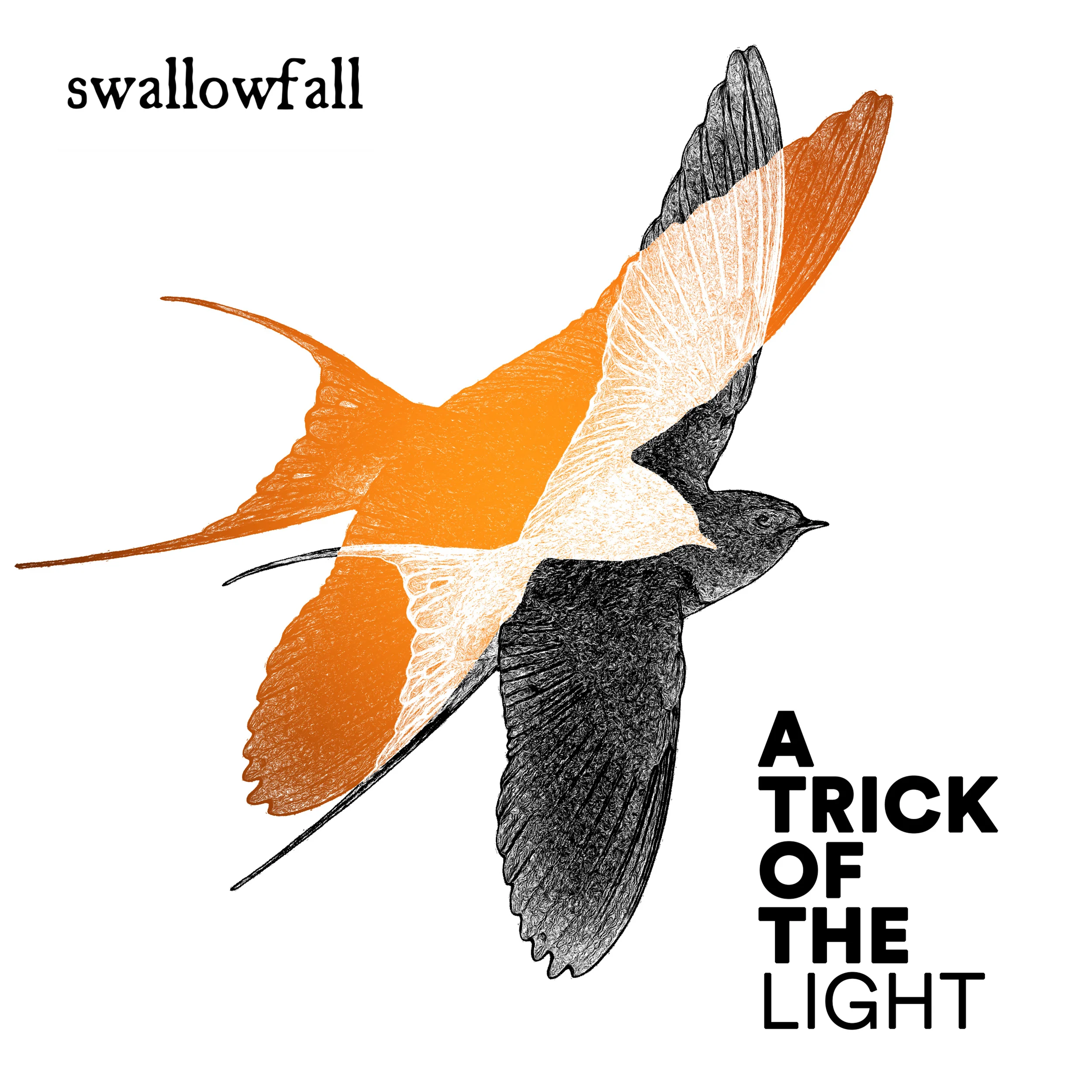 Swallowfall-A-Trick-Of-The-Light-4-.jpg