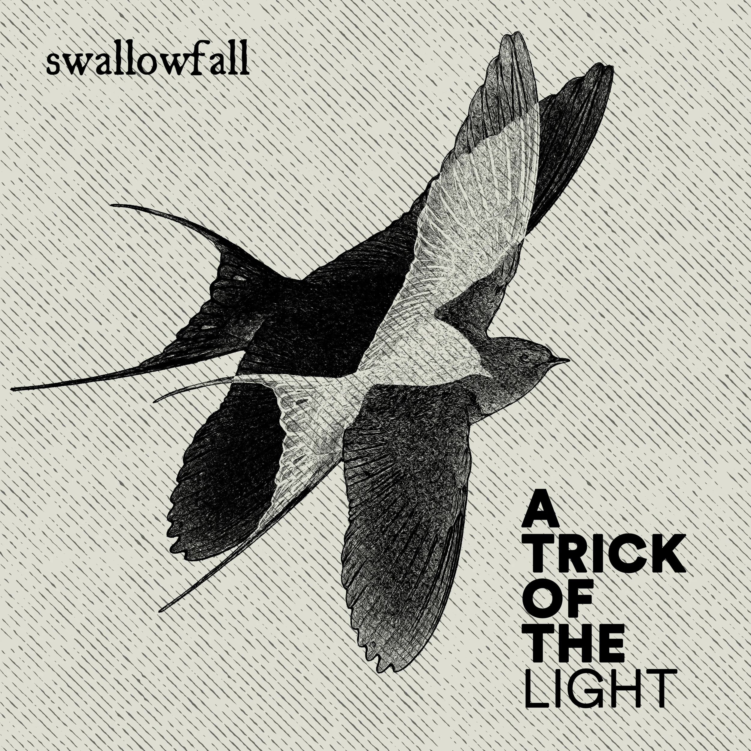 Swallowfall-A-Trick-Of-The-Light-5-.jpg