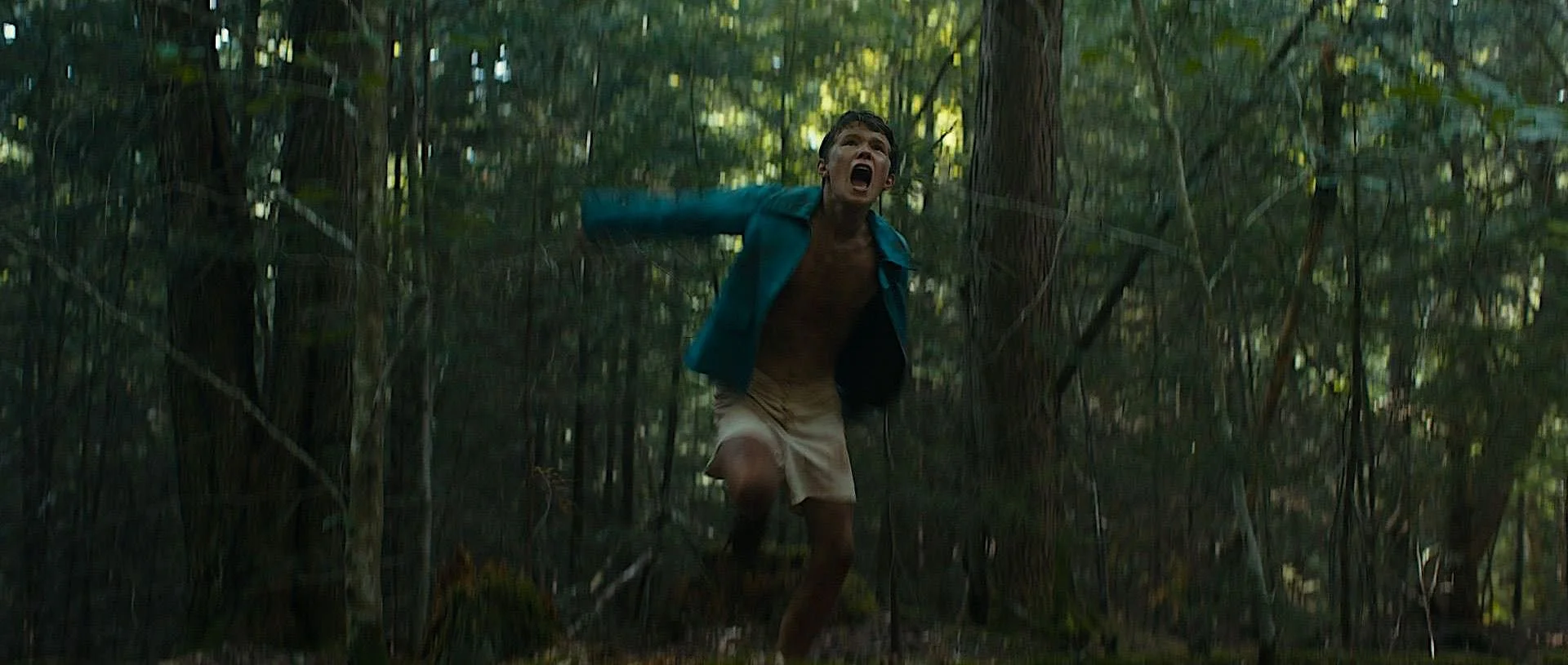 LOST ON A MOUNTAIN IN MAINE