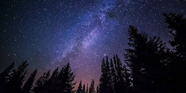 CASEMENT-nightsky-forest-min.jpg