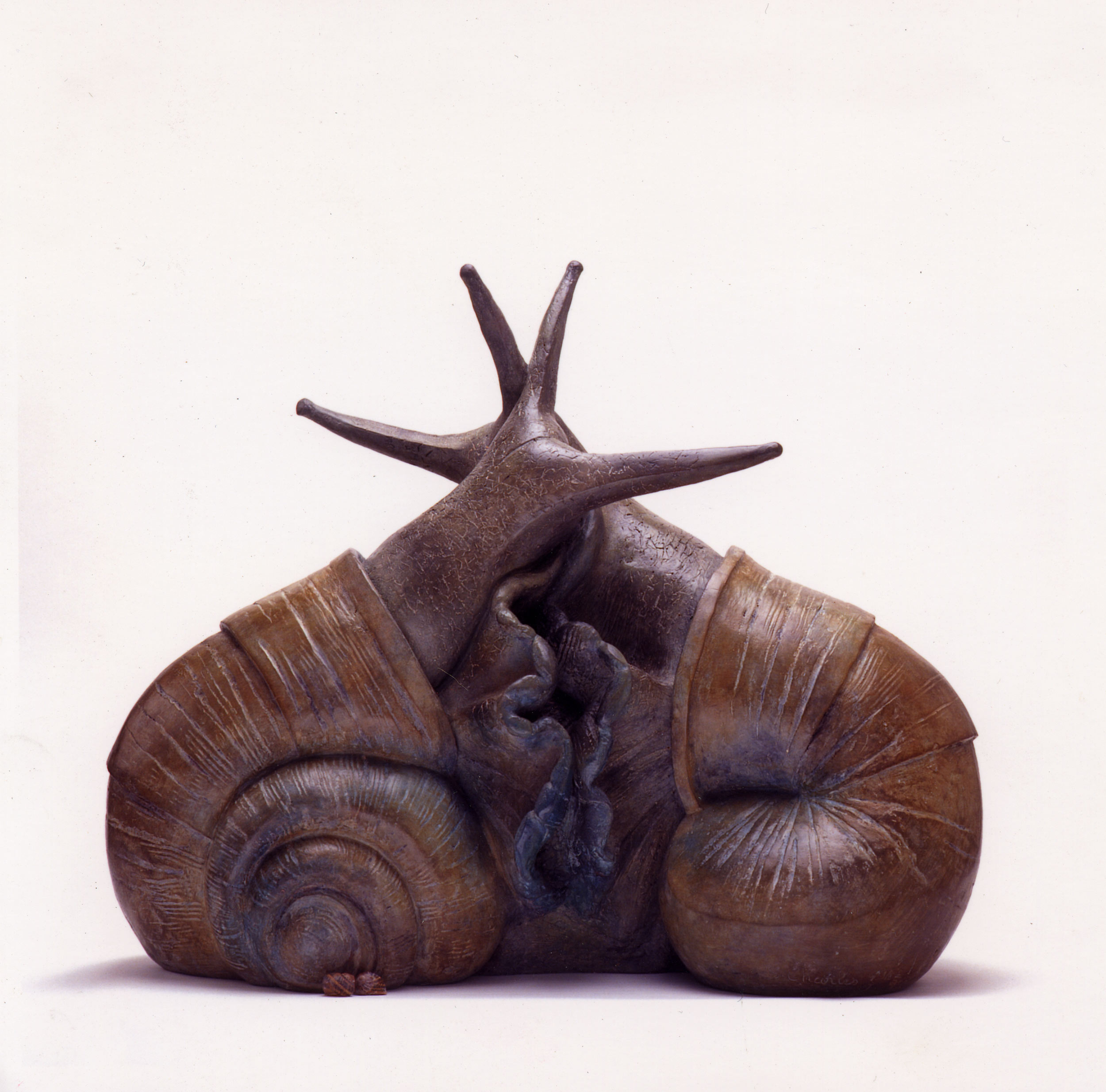 Snail Sculpture - Shelley Charles