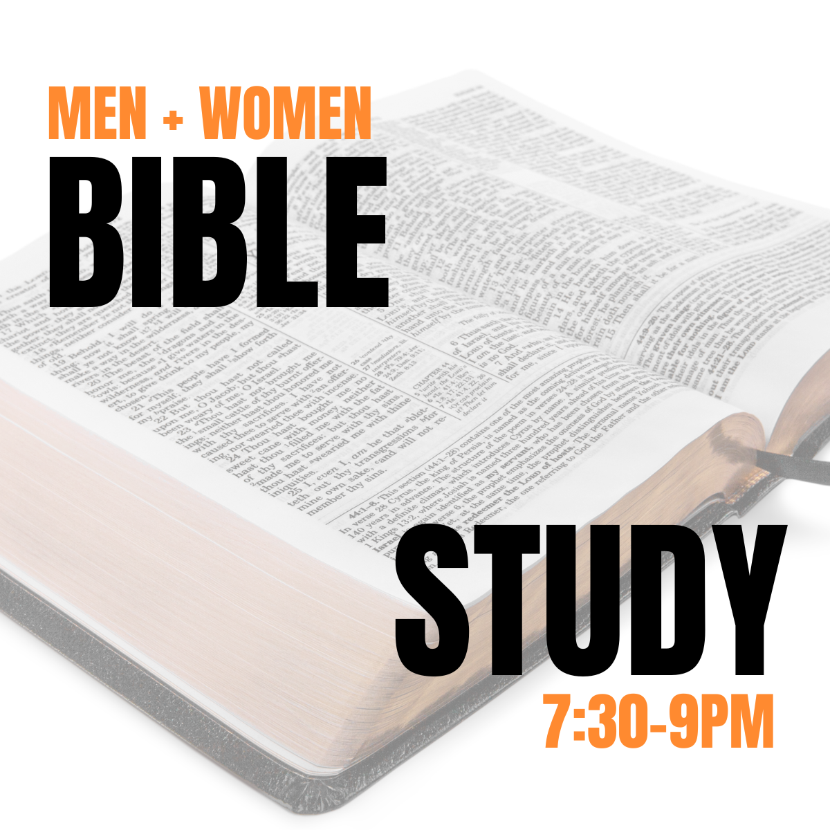 Bible Study