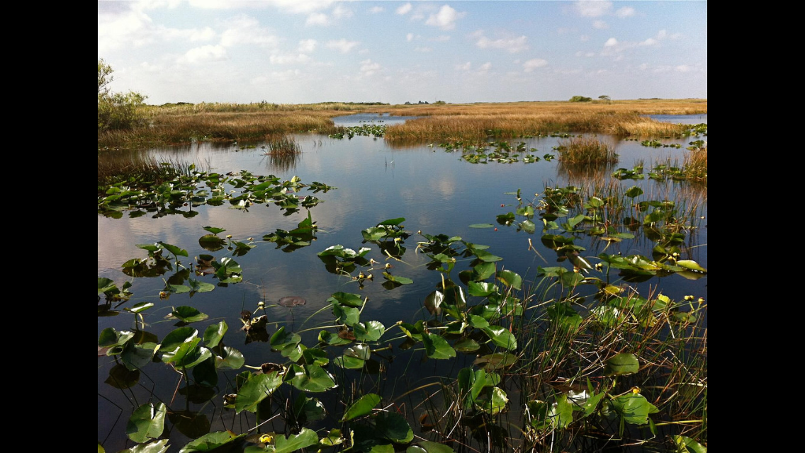 five writerly confessions