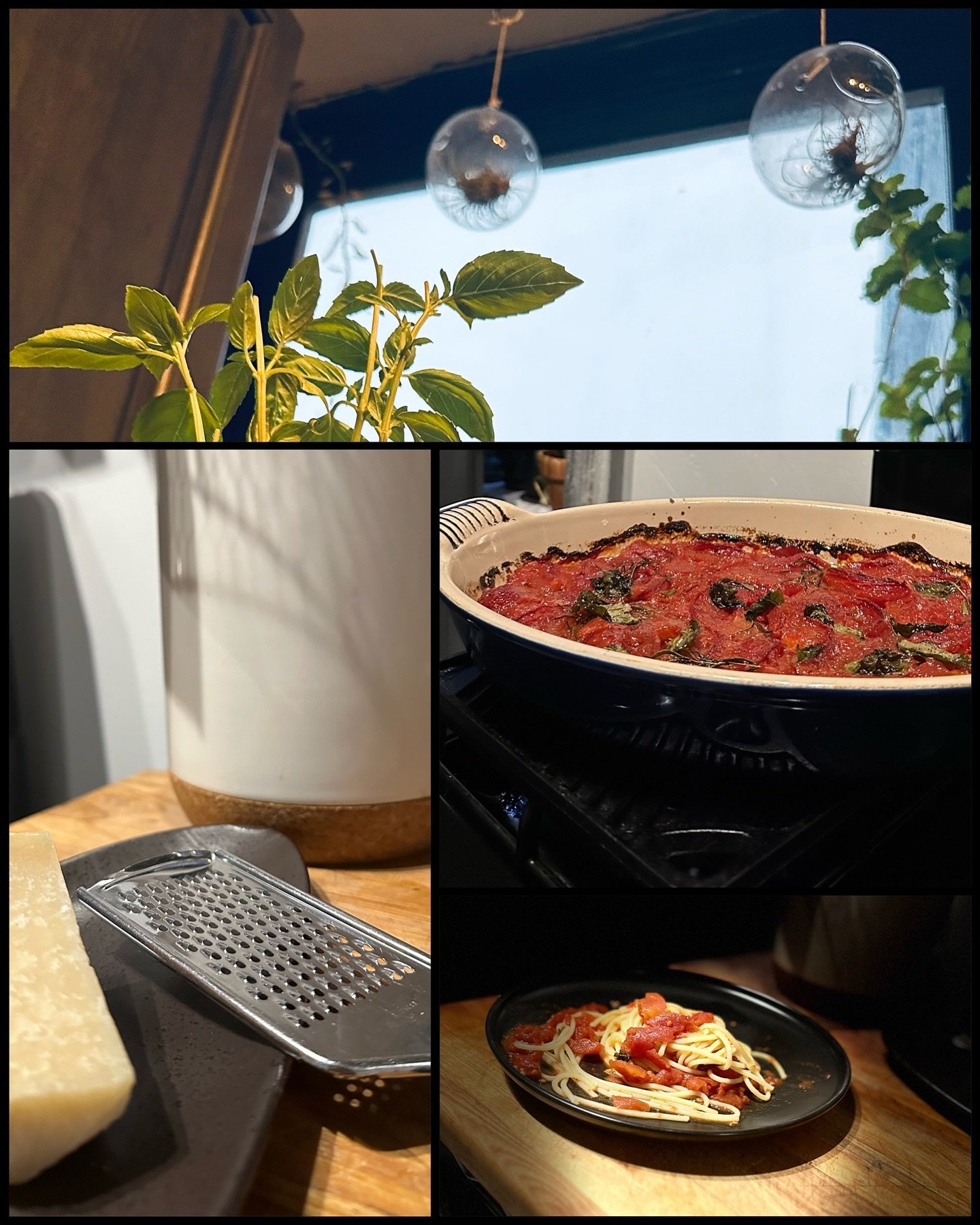 Sometimes you need a big plate of spaghetti. Sunday night / end of weekend (and semester) vibes. Basil from the window garden and slow roasted tomatoes. 

So much fun at the online reading today with Regal spring titles. I always think it&rsquo;s int