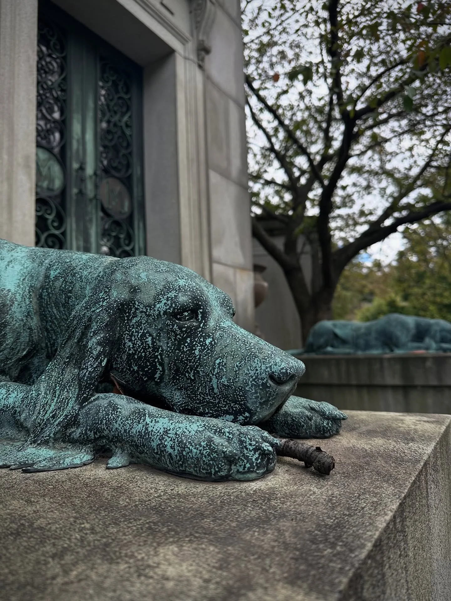 magical autumn walk 🍂