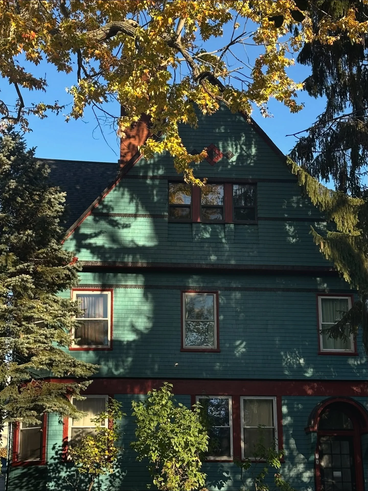 Buffalo, you enchant me. 💫 ⭐️