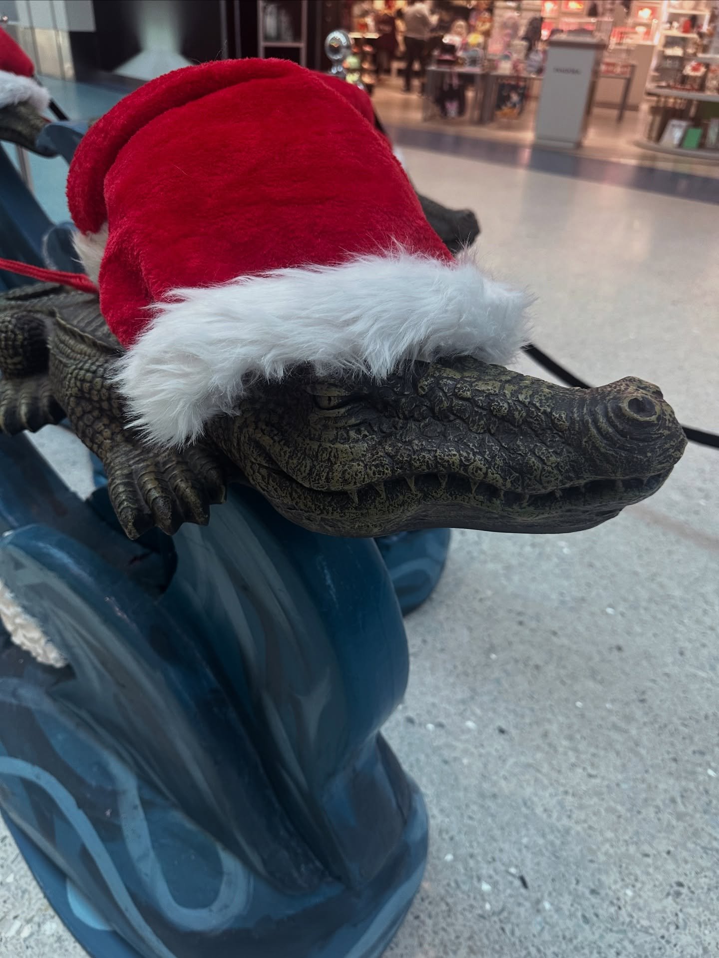 Thankful for a beautiful week with family. Wish we lived closer. A little homesick for the swamp now and back to the Bronx tomorrow.