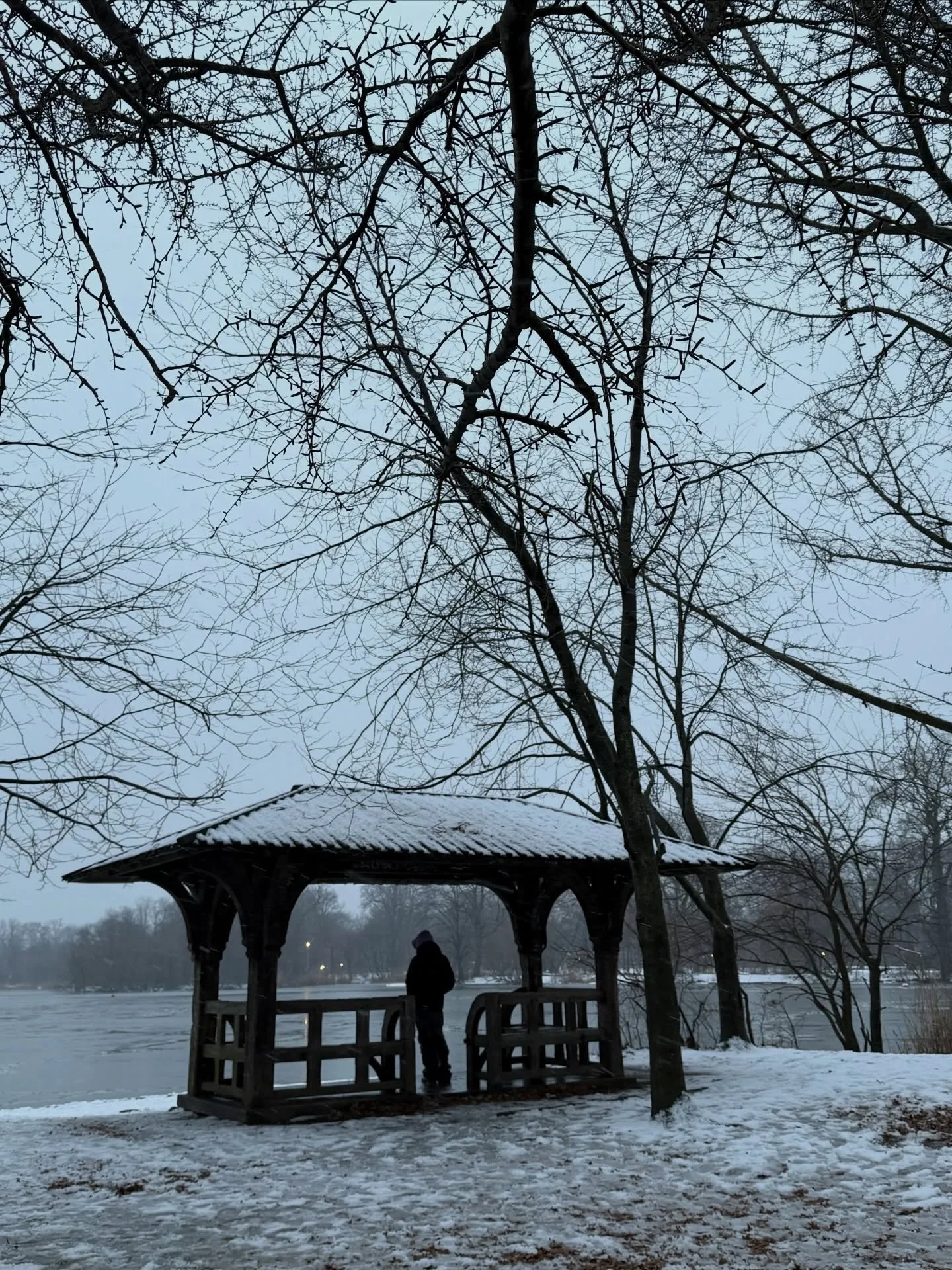 It snowed (again). More calligraphy trees in Brooklyn. I am content (for now).

@prospect_park 
#kensingtonbrooklyn 
#winterforever