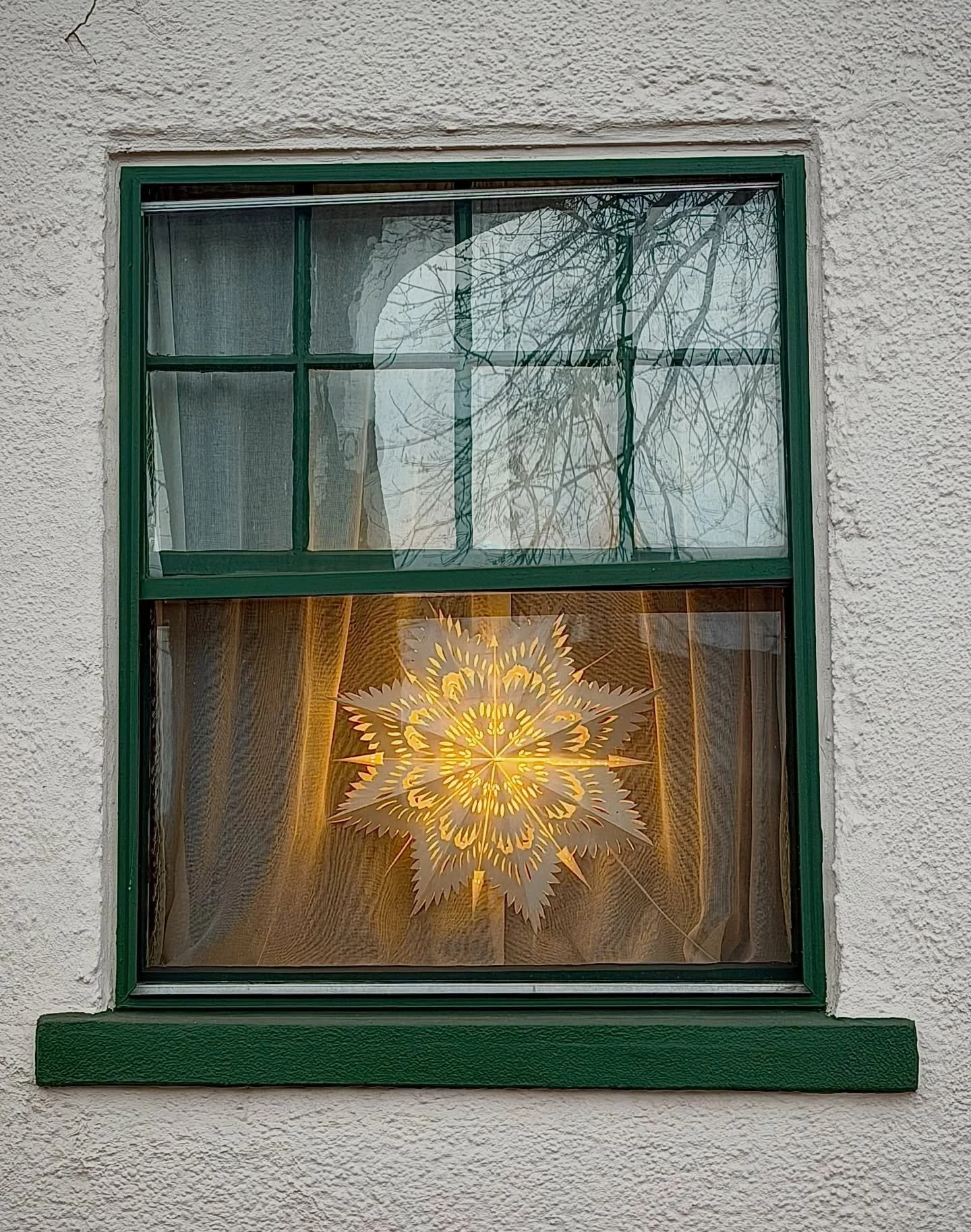 We are in the in-between times. Christmas trees, bent and withered on the sidewalks like dead bodies. Pumpkins melting on stoops. Peel-and-stick hearts curling off windows. A secret Morse code in paper snowflakes. I sort of love and hate it all.

#br