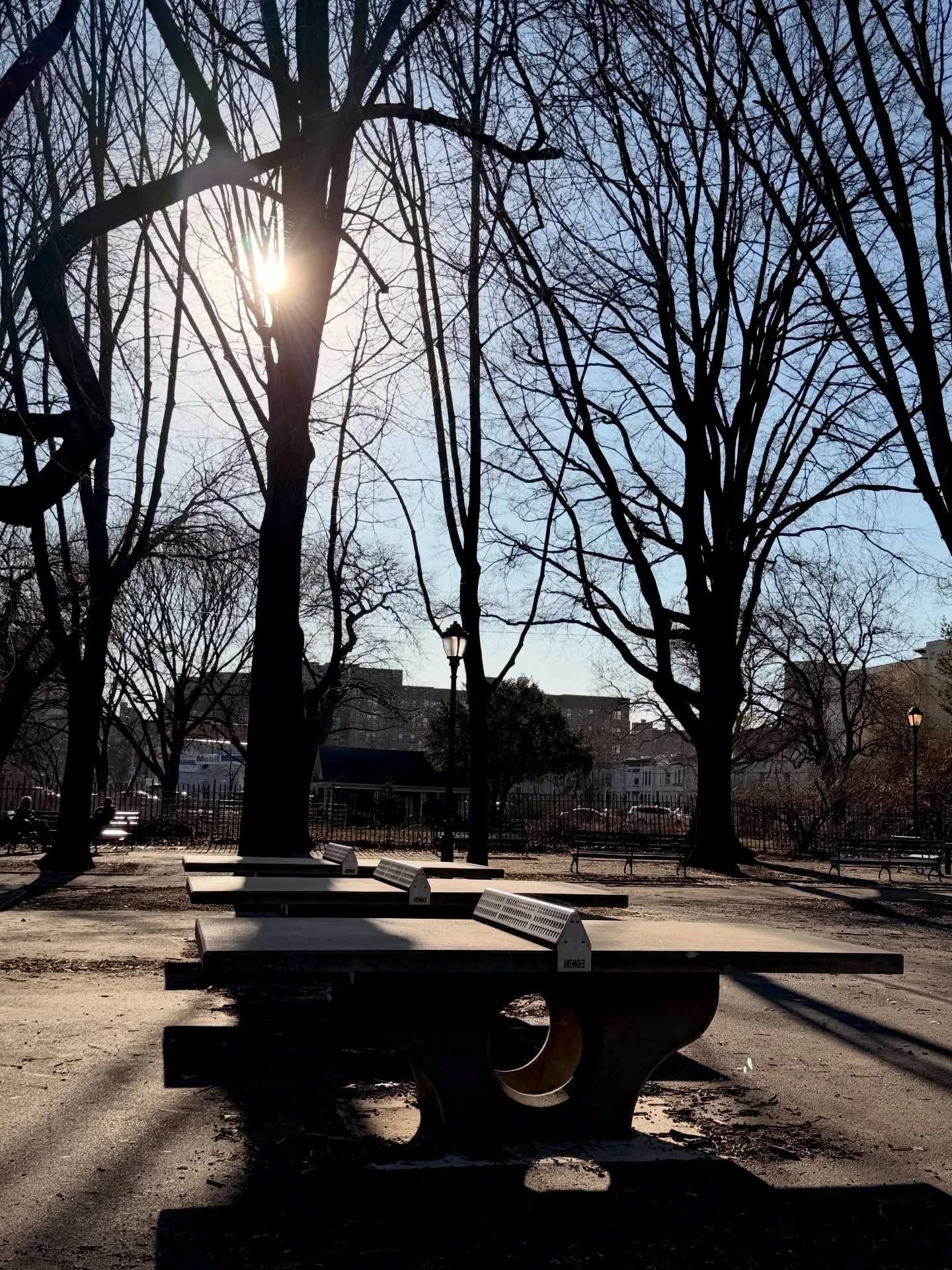 Lately. The &ldquo;I hate spring&rdquo; edition.