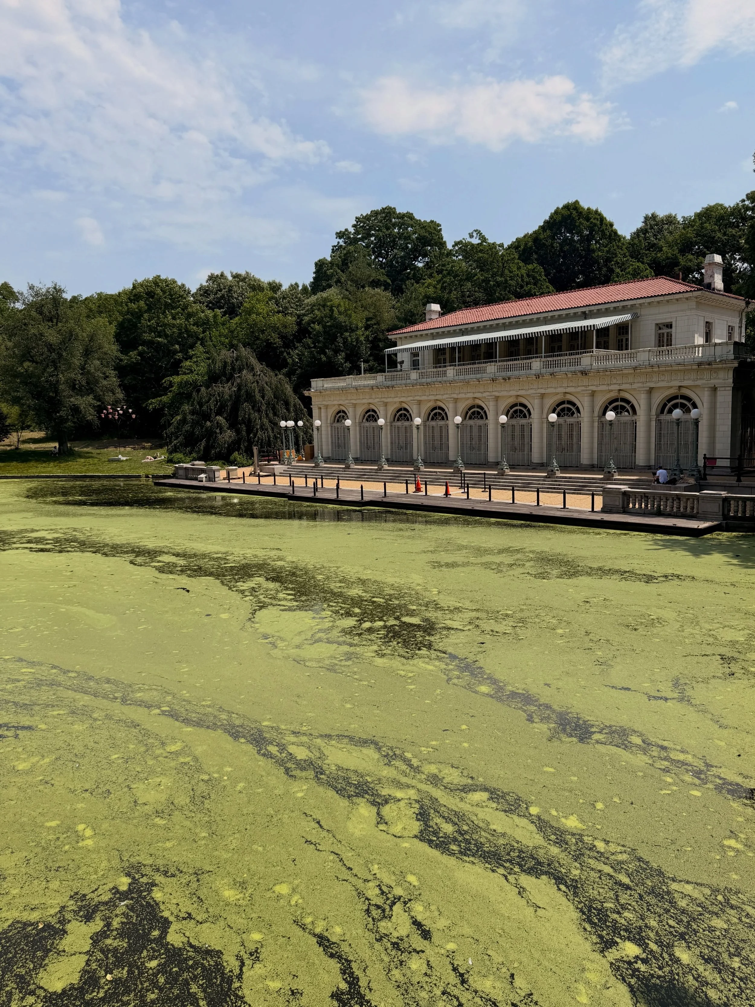 Today&rsquo;s walk. Exuberant green edition. Also: the I hate this heat wave edition.