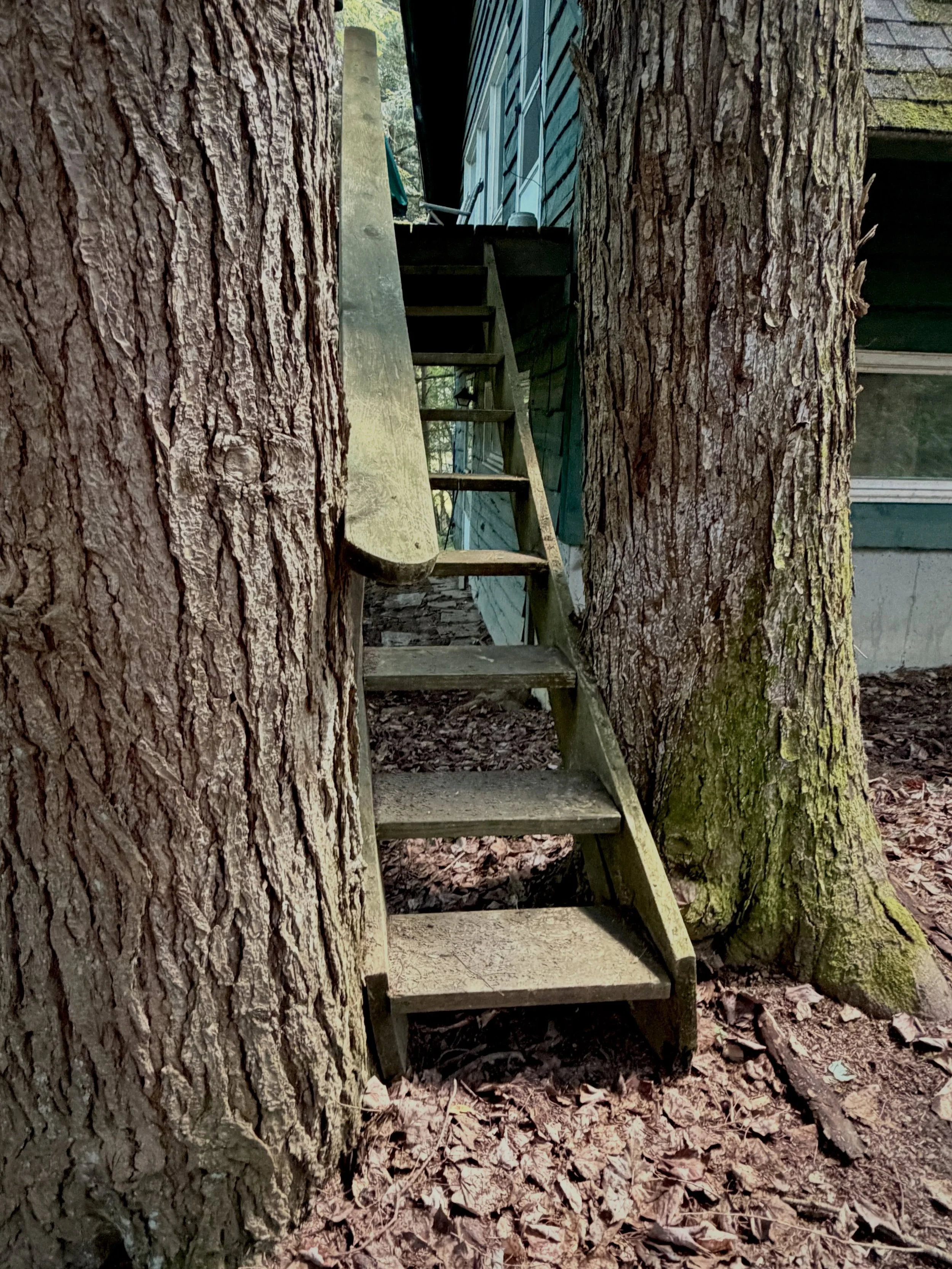 A few more&hellip;Vermont nostalgia edition.