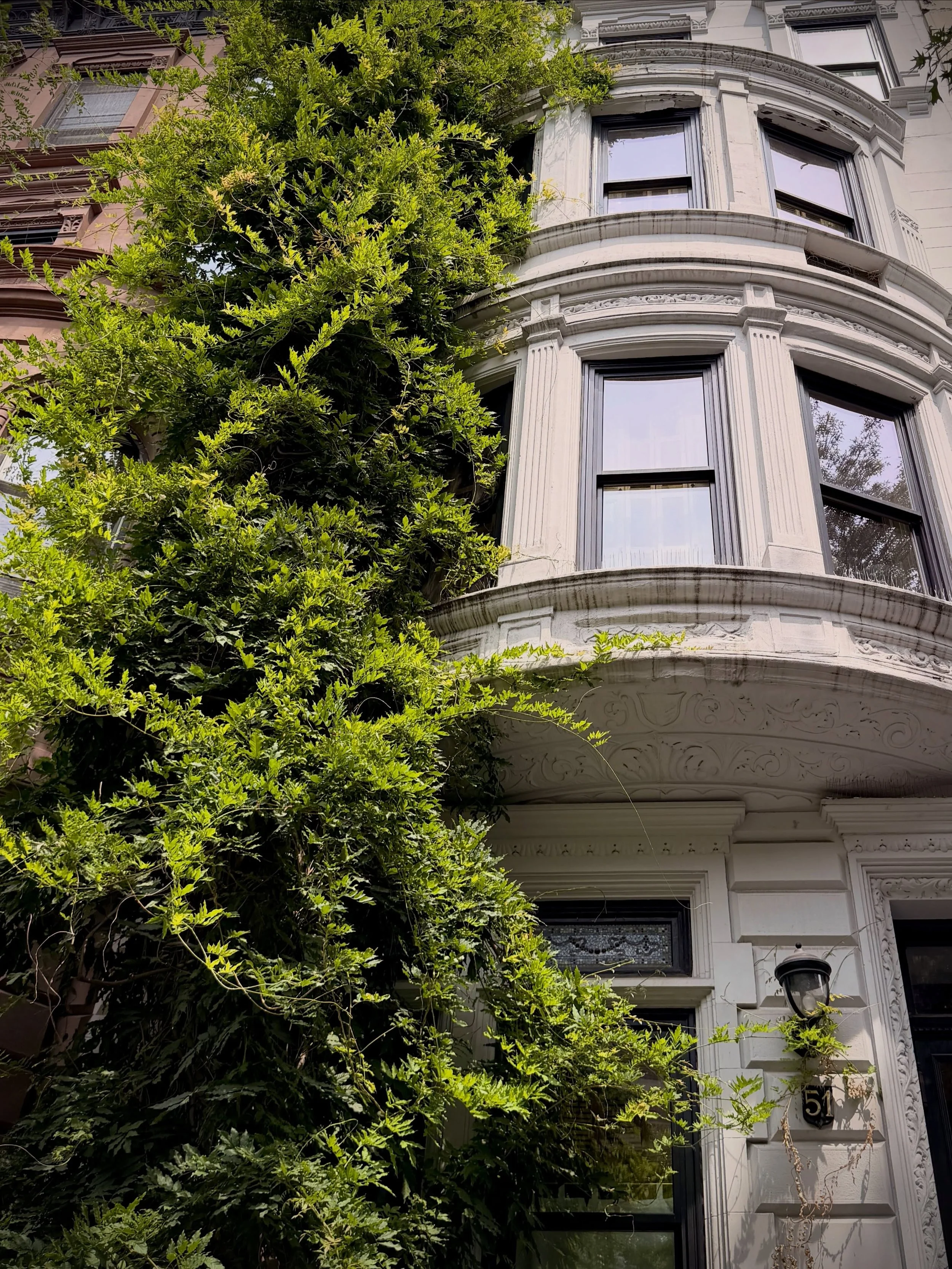 These leaf-draped buildings feel like old friends&mdash;-the first neighborhood I ever explored in nyc decades ago. I was always tilting my gaze up at the faces hidden in the stones. I&rsquo;m so glad they&rsquo;re still watching over me.