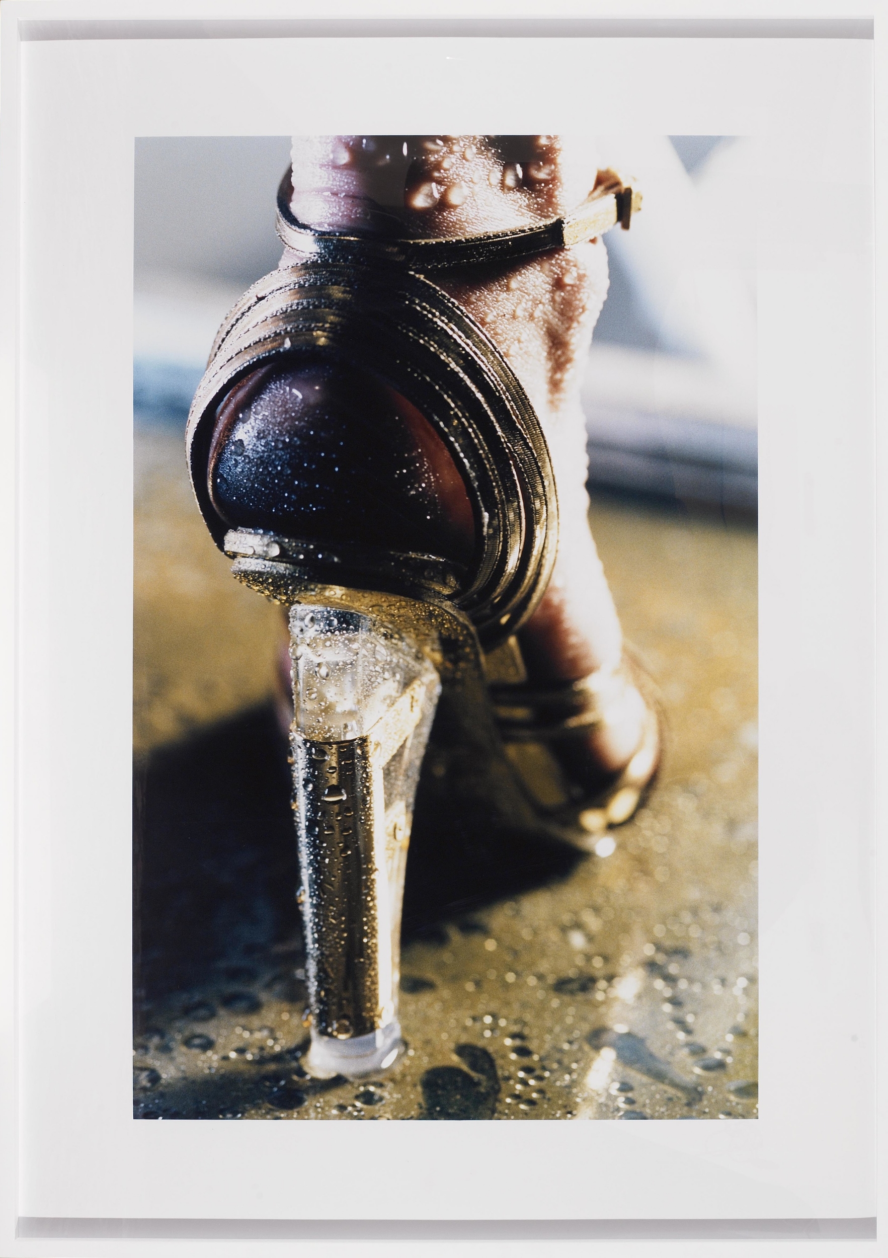 SOLD Goldie, 2004, C print, 40 x 26 inches