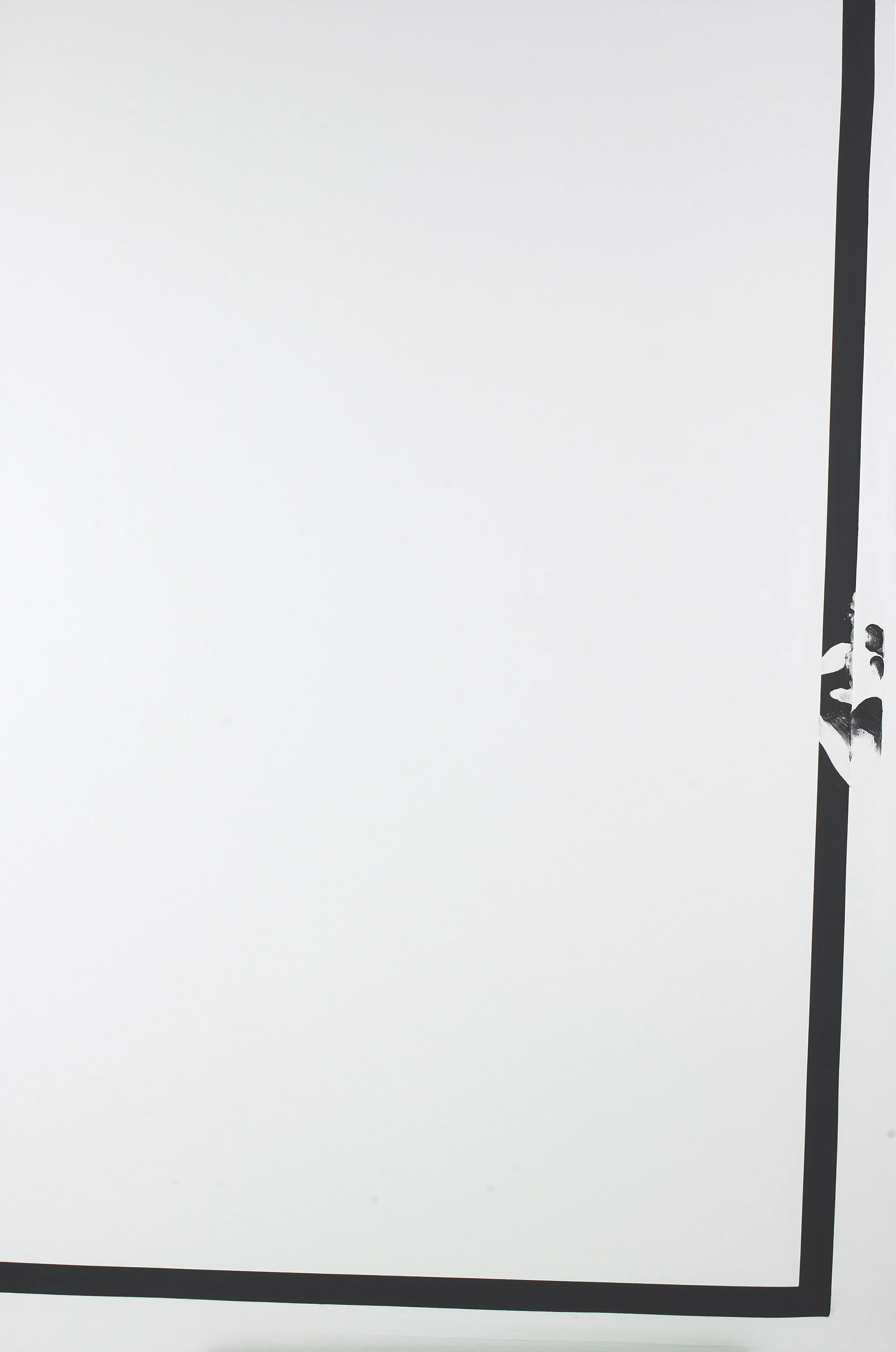Untitled, 2014 , Lidocaine, black pigment on canvas, 73 x 48 inches